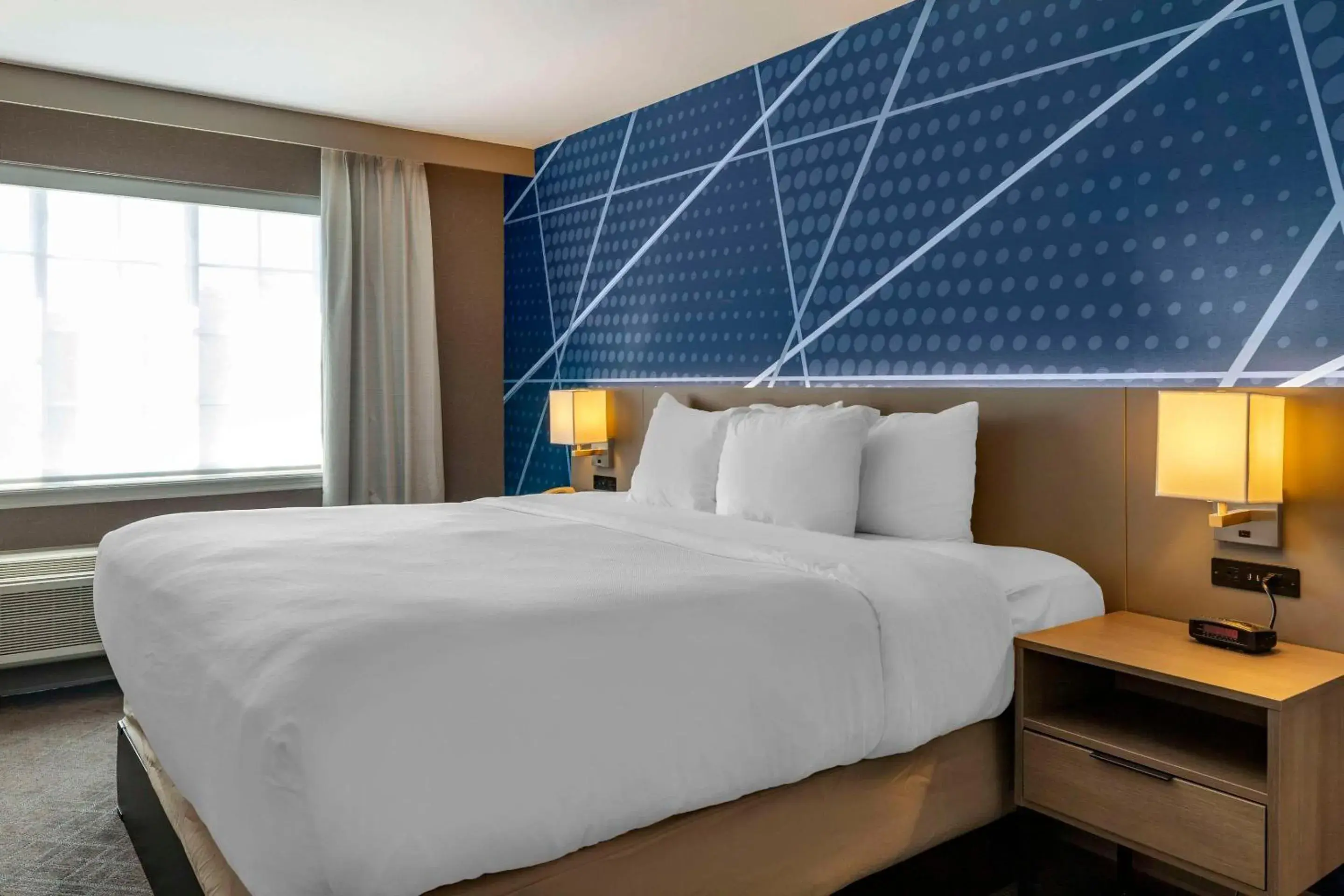 King Suite - Non-Smoking in Comfort Inn & Suites East Greenbush - Albany King Suite - Non-Smoking in Comfort Inn & Suites East Greenbush - Albany