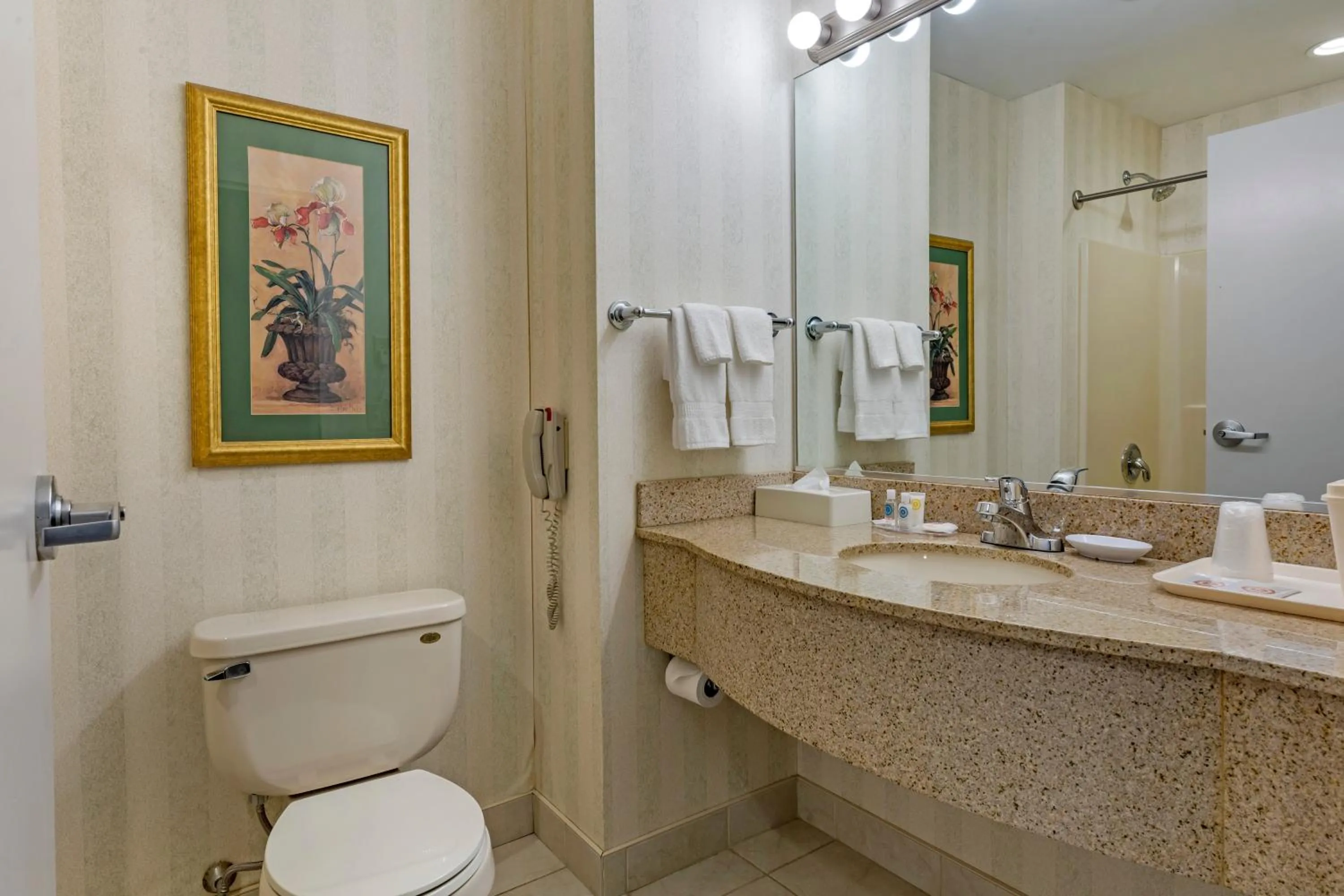Toilet in Comfort Inn & Suites East Greenbush - Albany