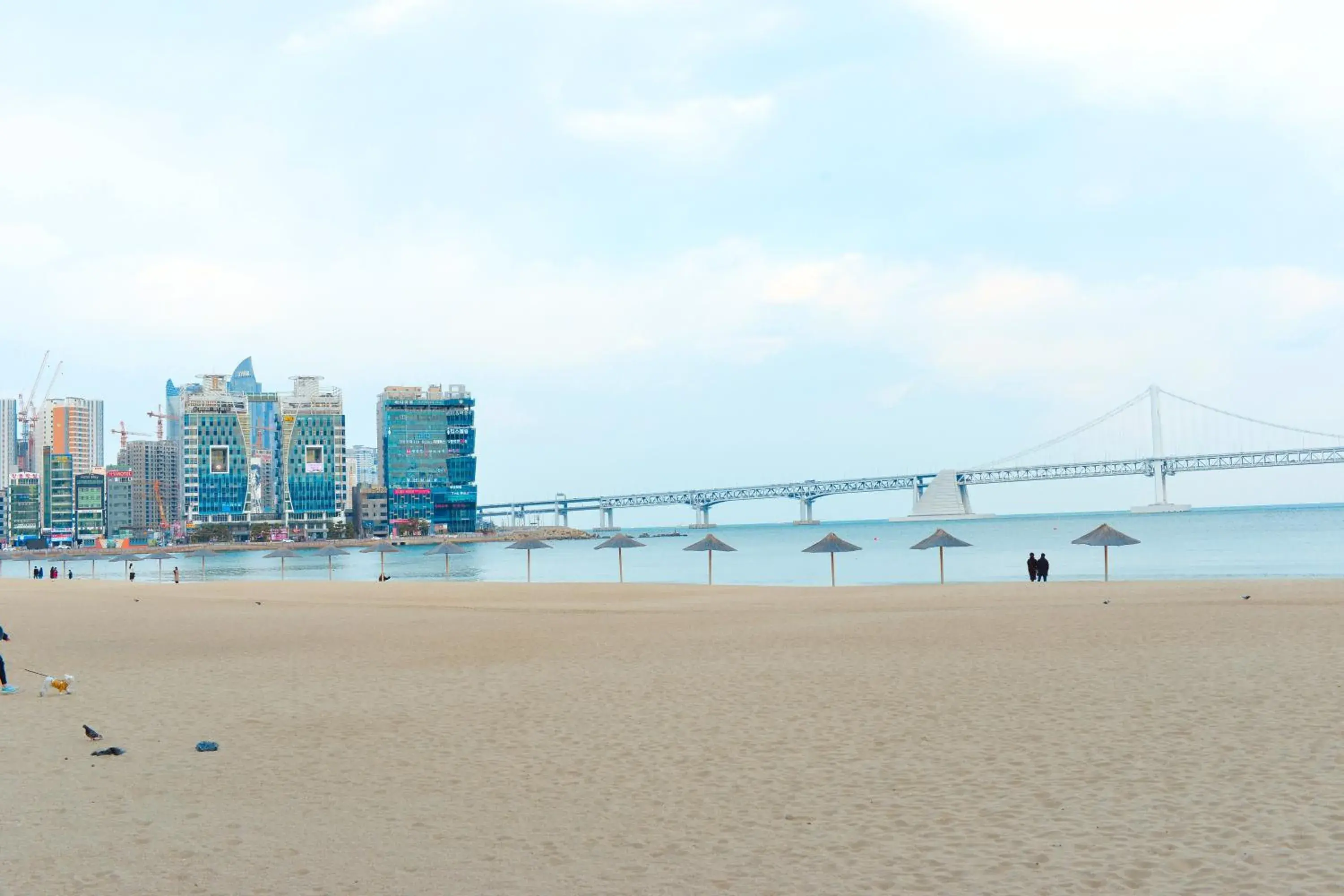 Property building in H Avenue Gwanganri Beach Property building in H Avenue Gwanganri Beach