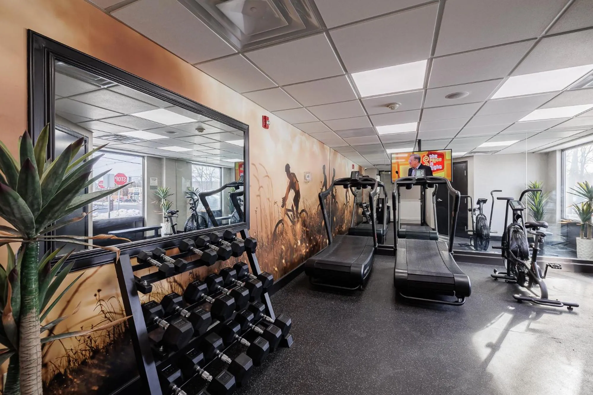 Fitness centre/facilities in Oakfield Hotel & Suites, an Ascend Collection Hotel