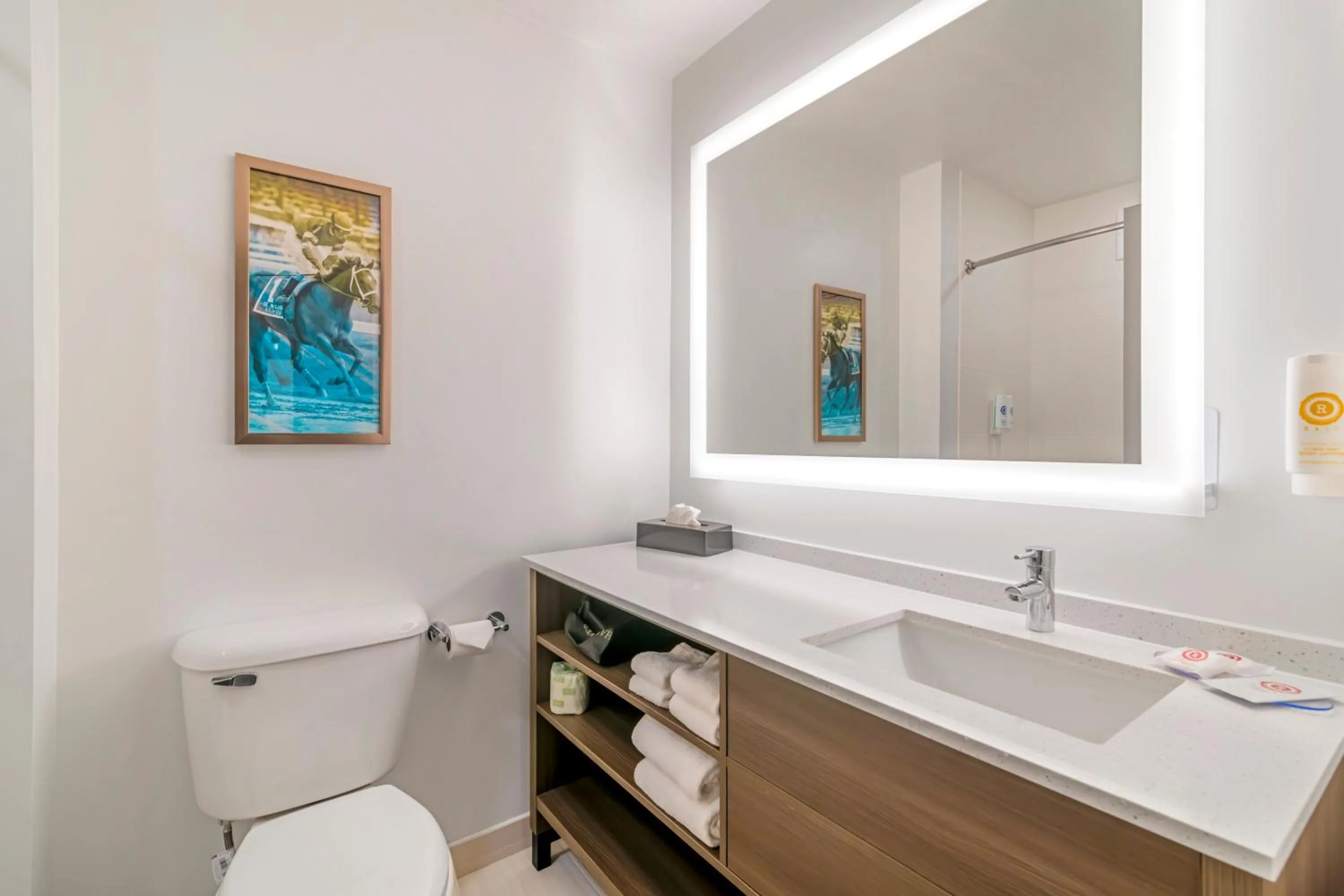 Toilet in Comfort Inn & Suites Saratoga Springs