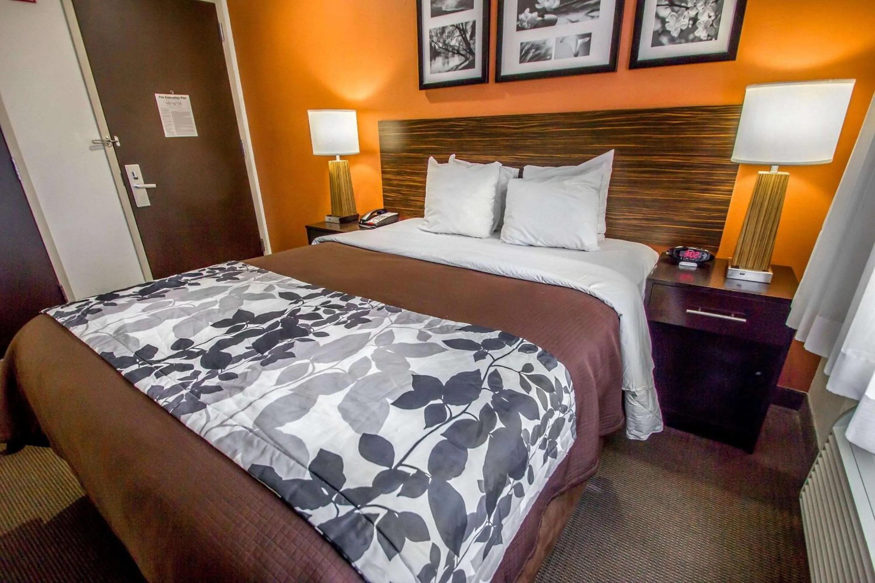 Photo of the whole room, Bed in Sleep Inn JFK Airport Rockaway Blvd