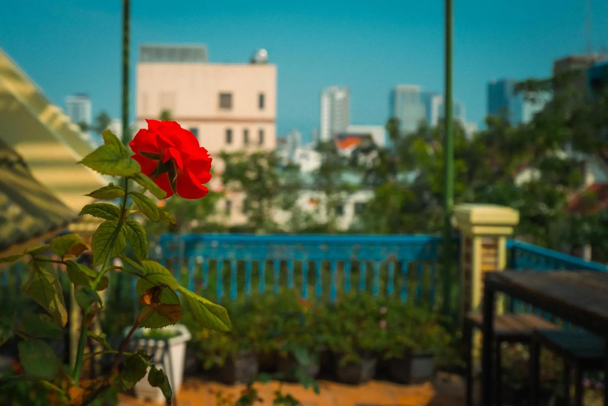 Patio in Thi Boutique Villa