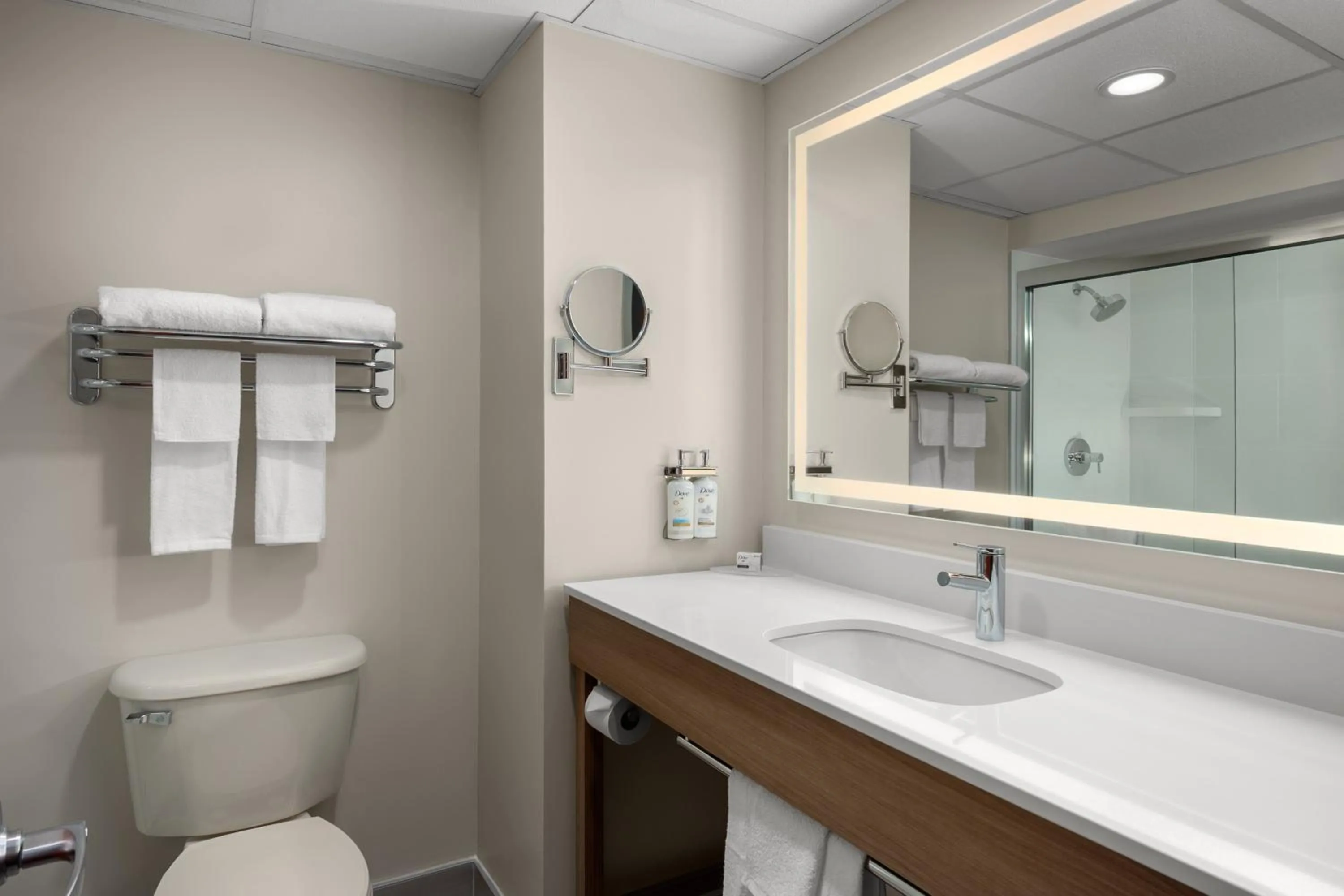 Bathroom in Holiday Inn Express & Suites Hawthorne - Elmsford North by IHG