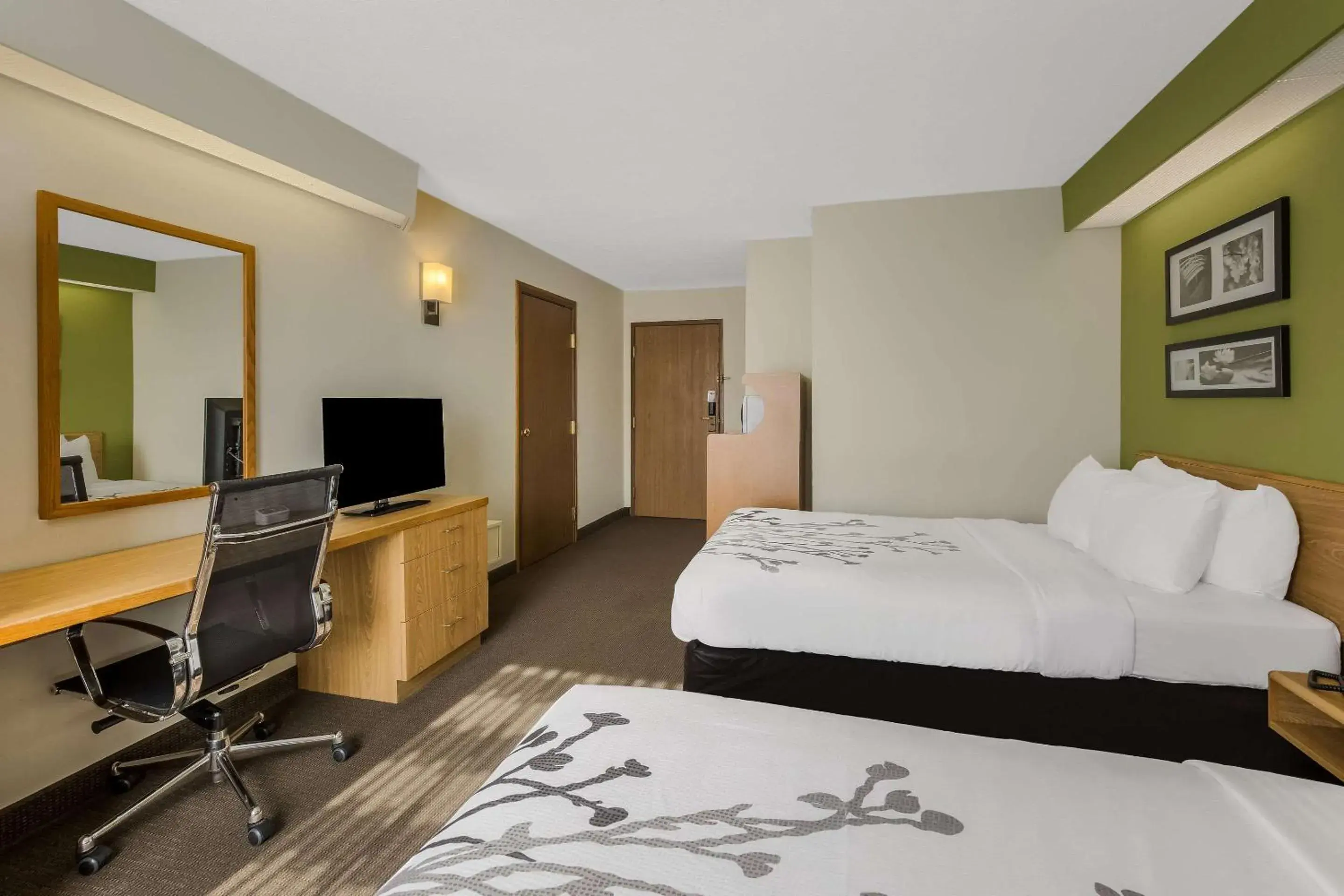 Bedroom, Bed in Sleep Inn Bedroom, Bed in Sleep Inn