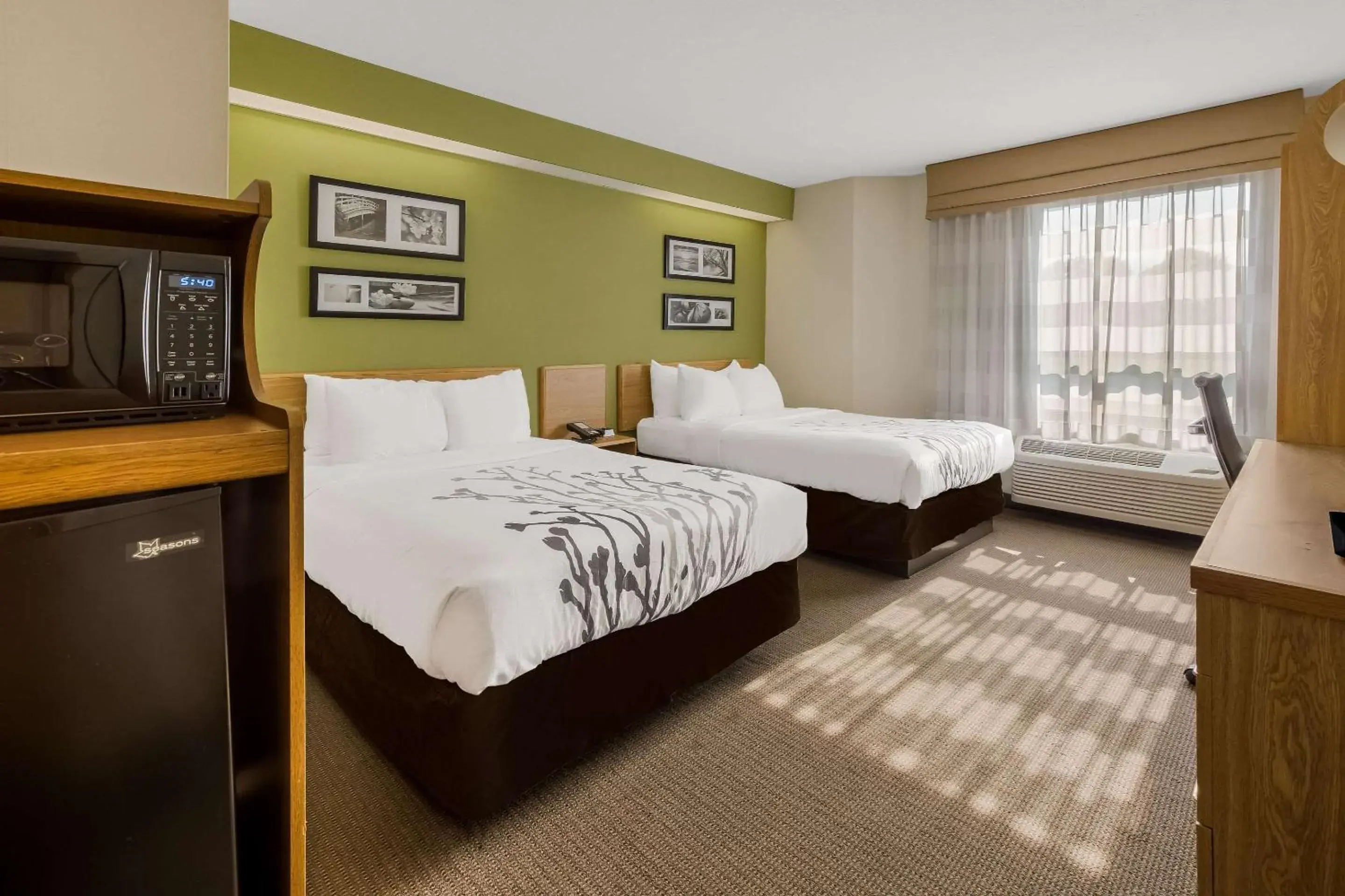 Bedroom, Bed in Sleep Inn Bedroom, Bed in Sleep Inn