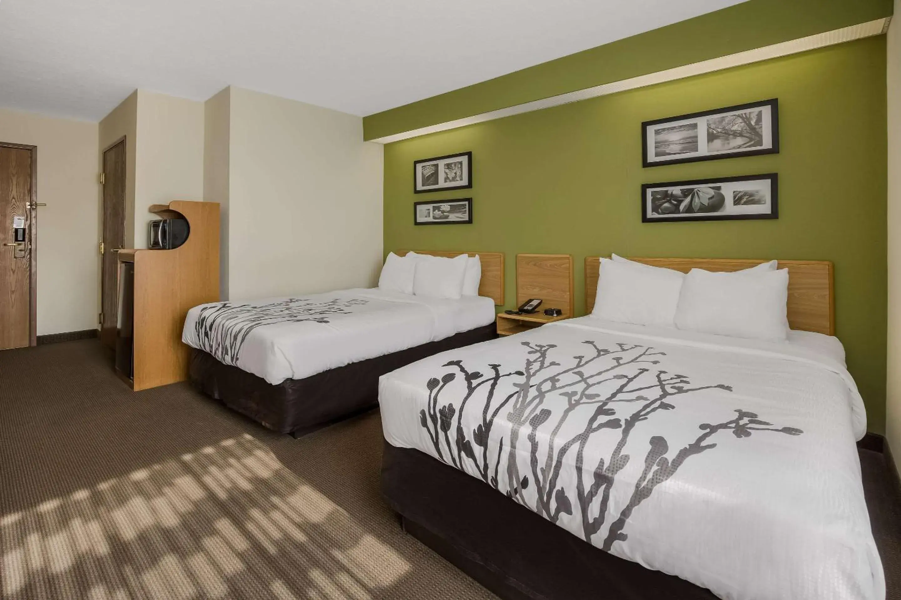 Bedroom, Bed in Sleep Inn Bedroom, Bed in Sleep Inn