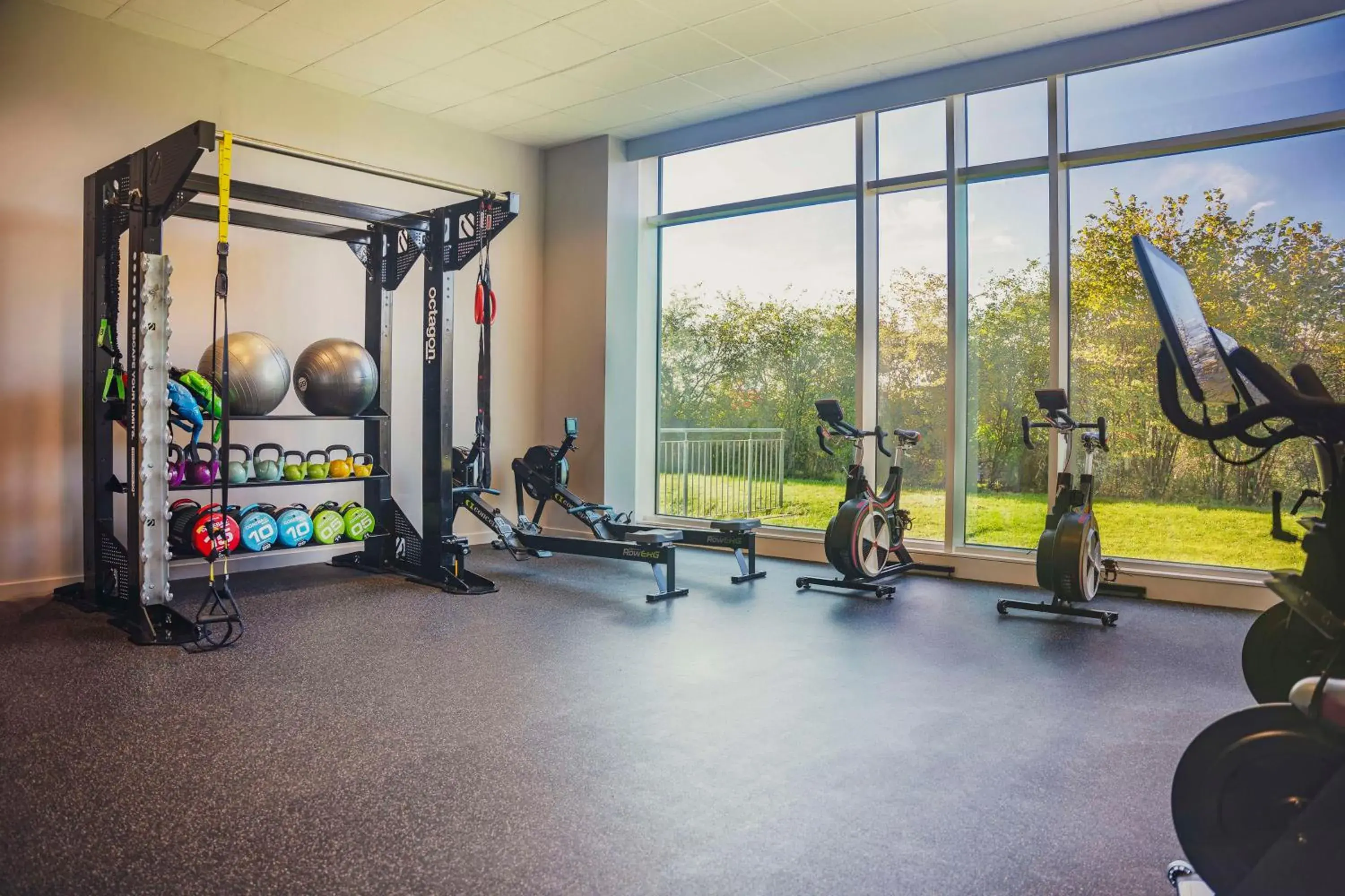 Fitness centre/facilities in Hilton Reading Fitness centre/facilities in Hilton Reading