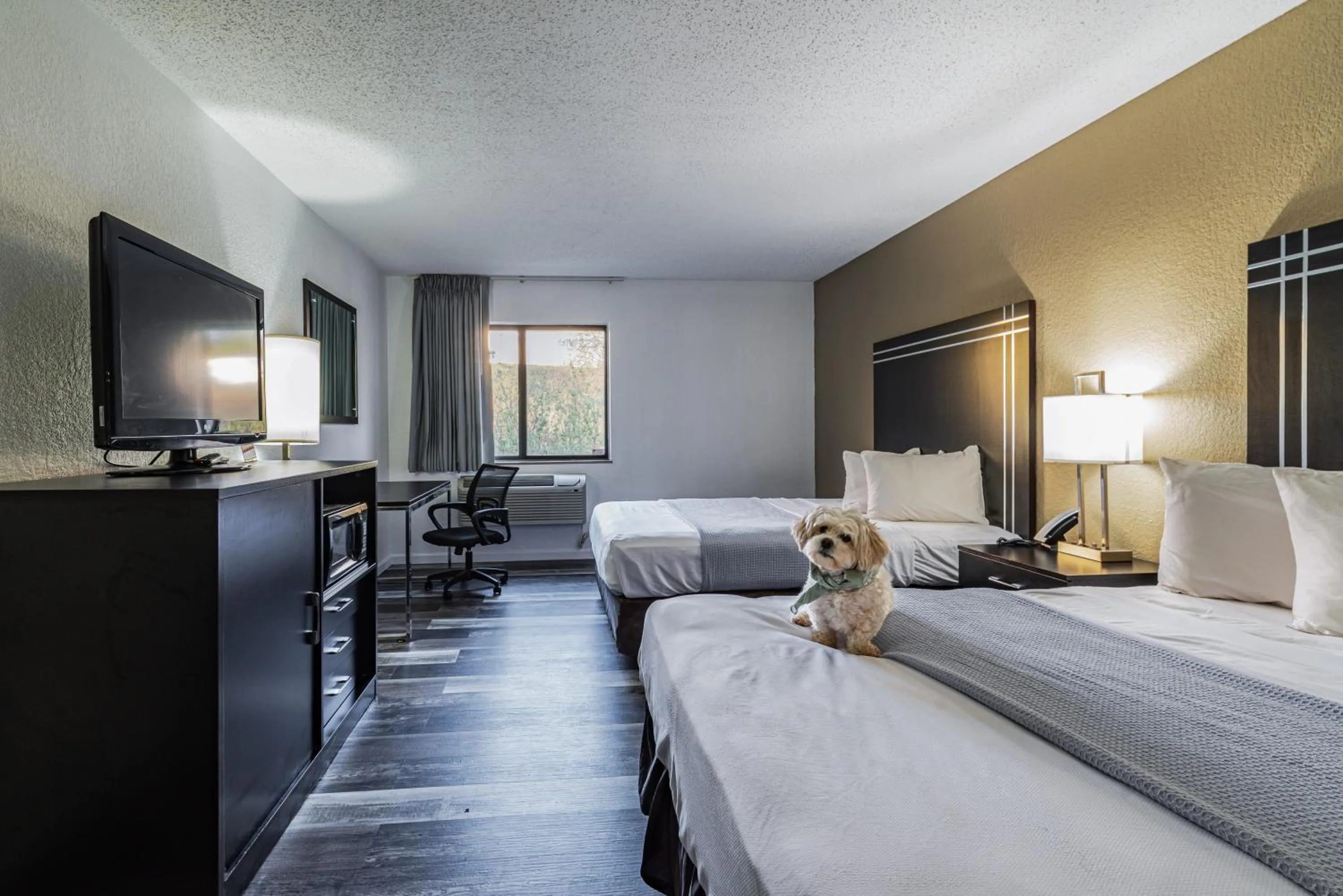 Bed in Econo Lodge Cleveland Southeast - Kent