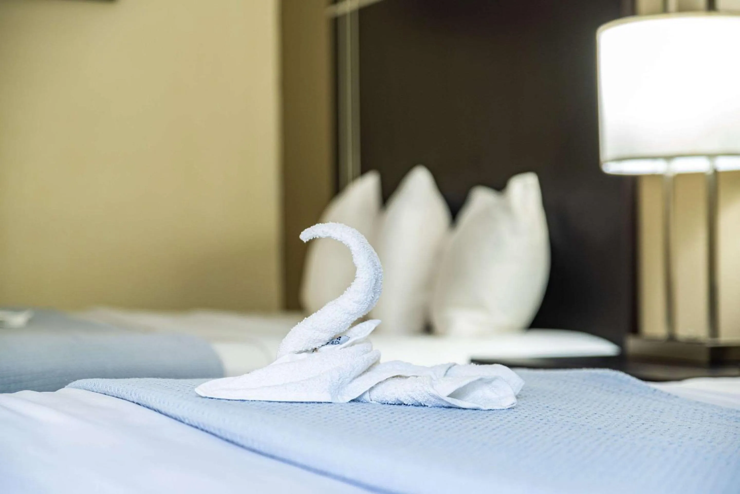 Bedroom, Bed in Econo Lodge Cleveland Southeast - Kent