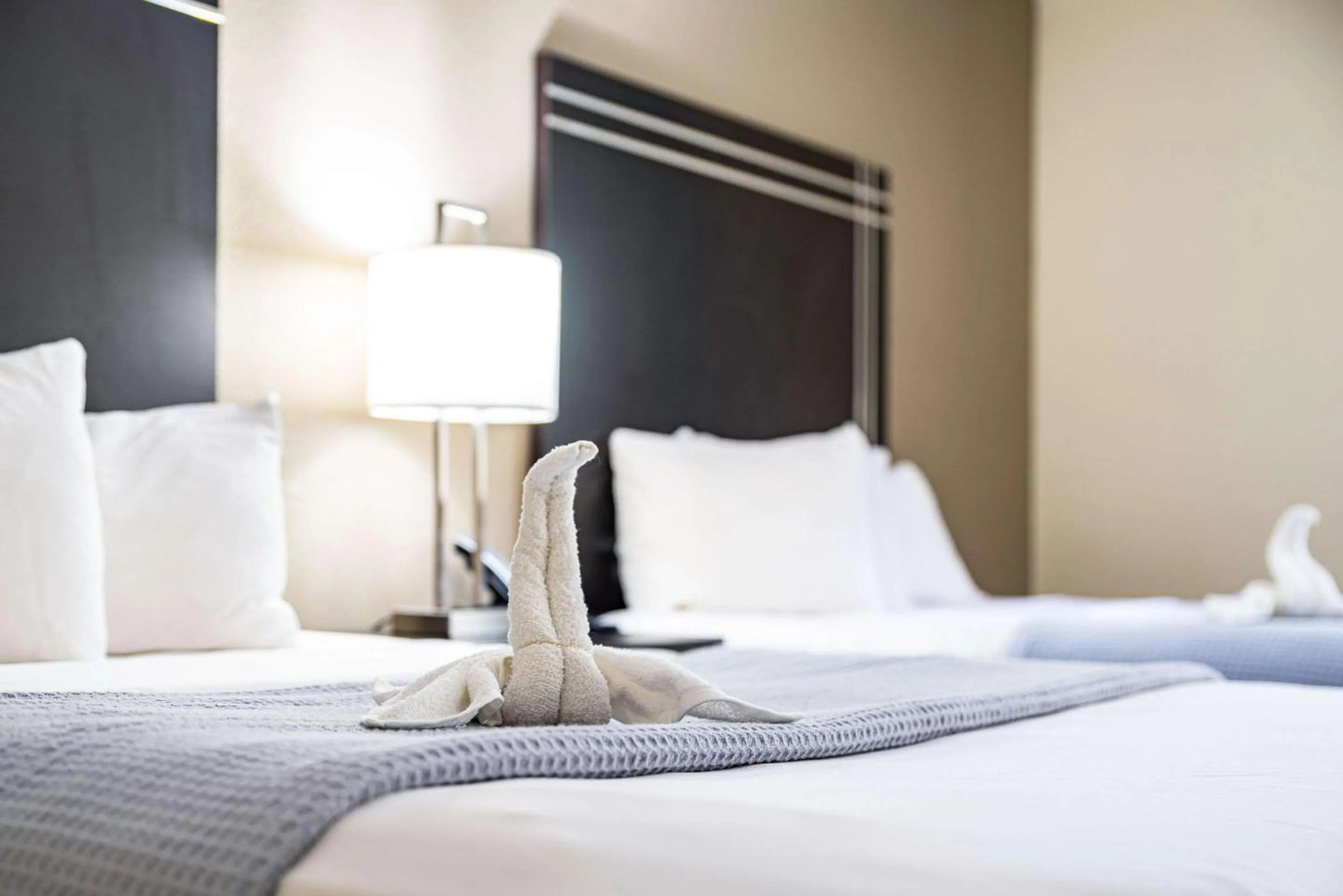 Bedroom, Bed in Econo Lodge Cleveland Southeast - Kent