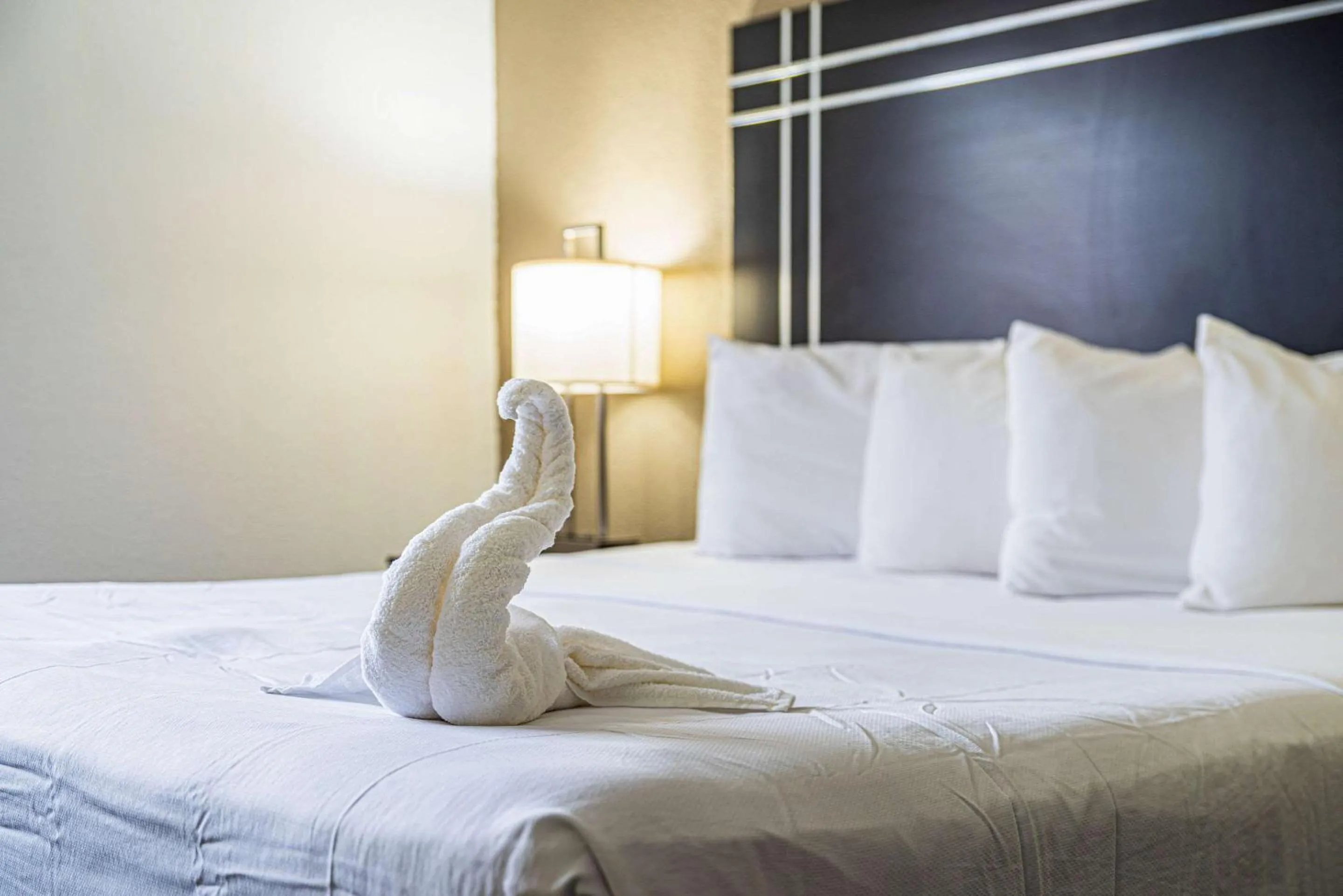 Bedroom, Bed in Econo Lodge Cleveland Southeast - Kent