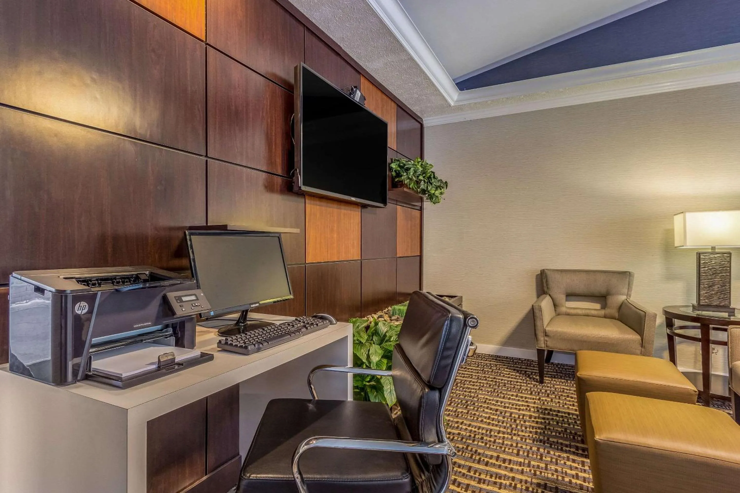 TV and multimedia in Comfort Inn Independence