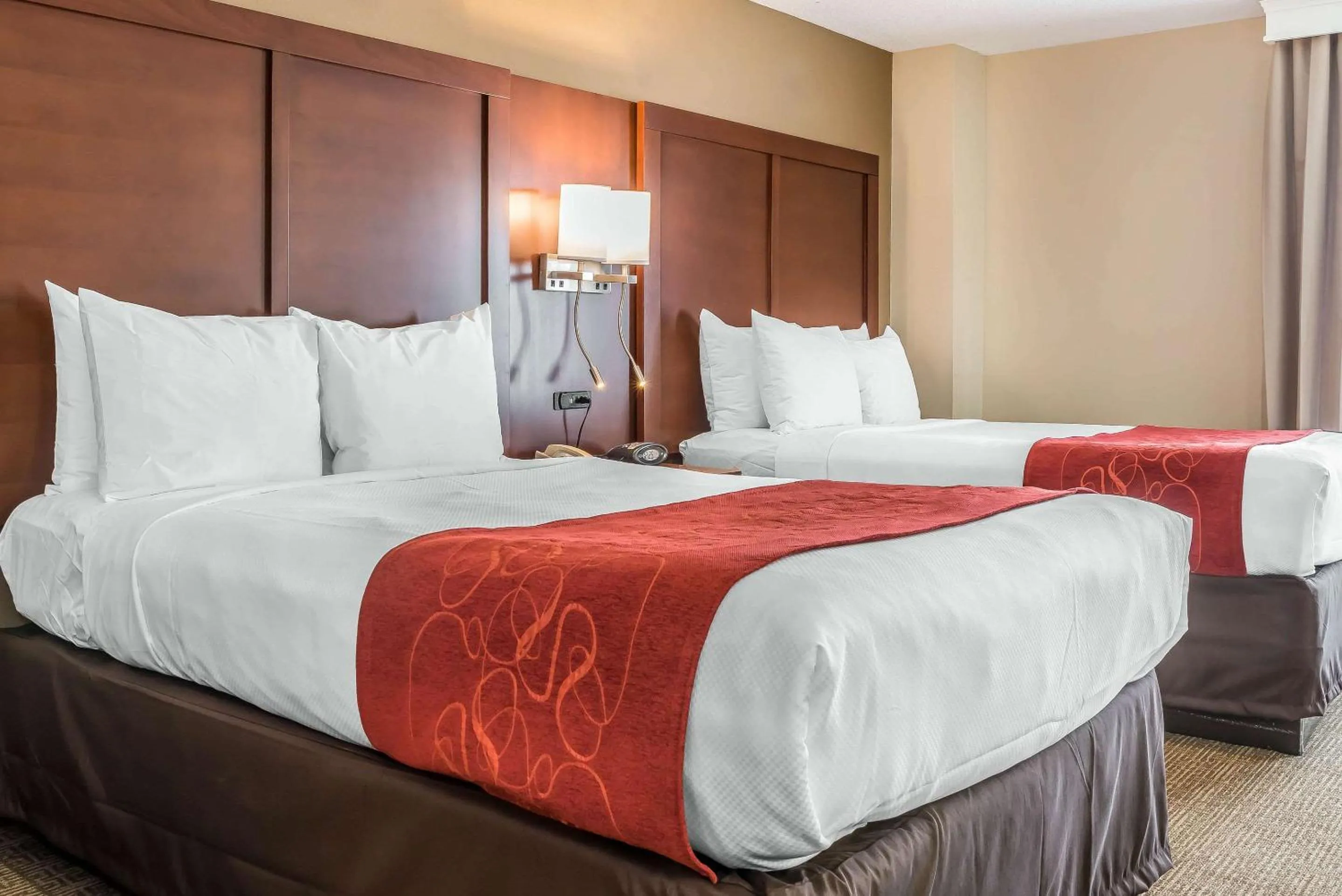 Bedroom, Bed in Comfort Suites Springfield I-70