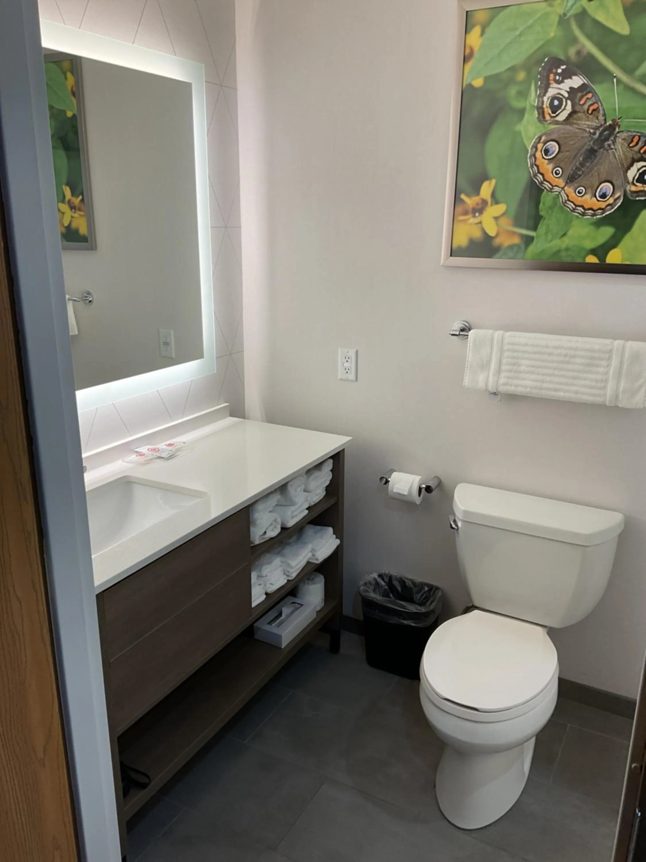 Comfort Suites Hotel and Conference Center