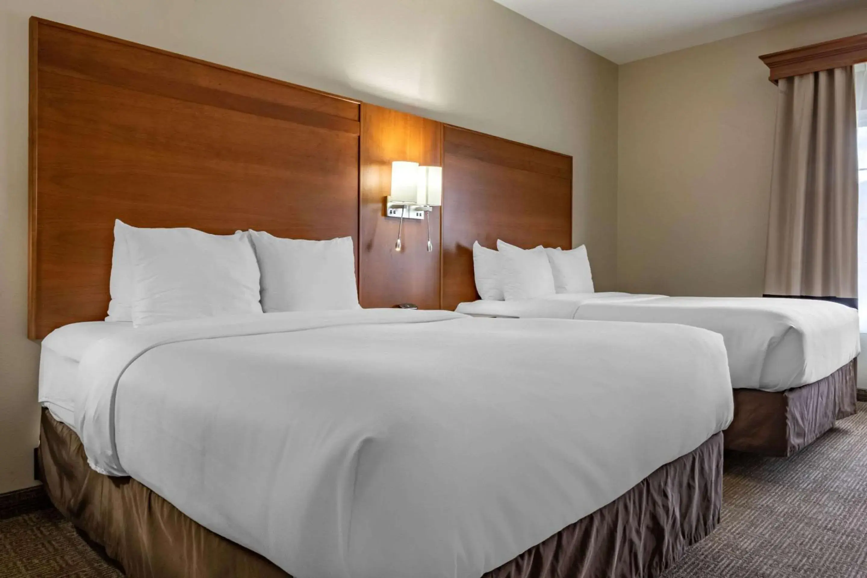 Bedroom, Bed in Comfort Suites Hotel and Conference Center Bedroom, Bed in Comfort Suites Hotel and Conference Center