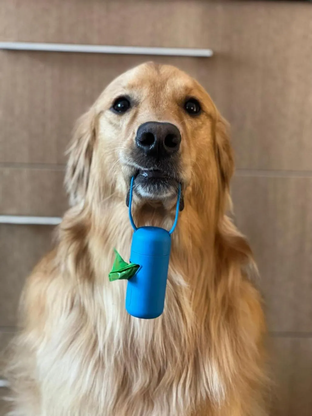 pet friendly in Spark By Hilton Cleveland Beachwood