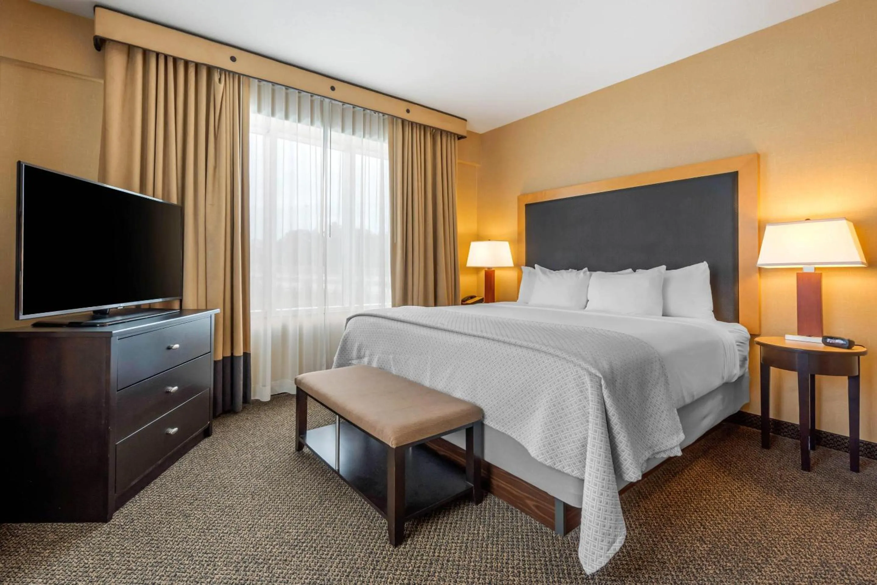 Bedroom, Bed in Cambria Hotel Akron - Canton Airport