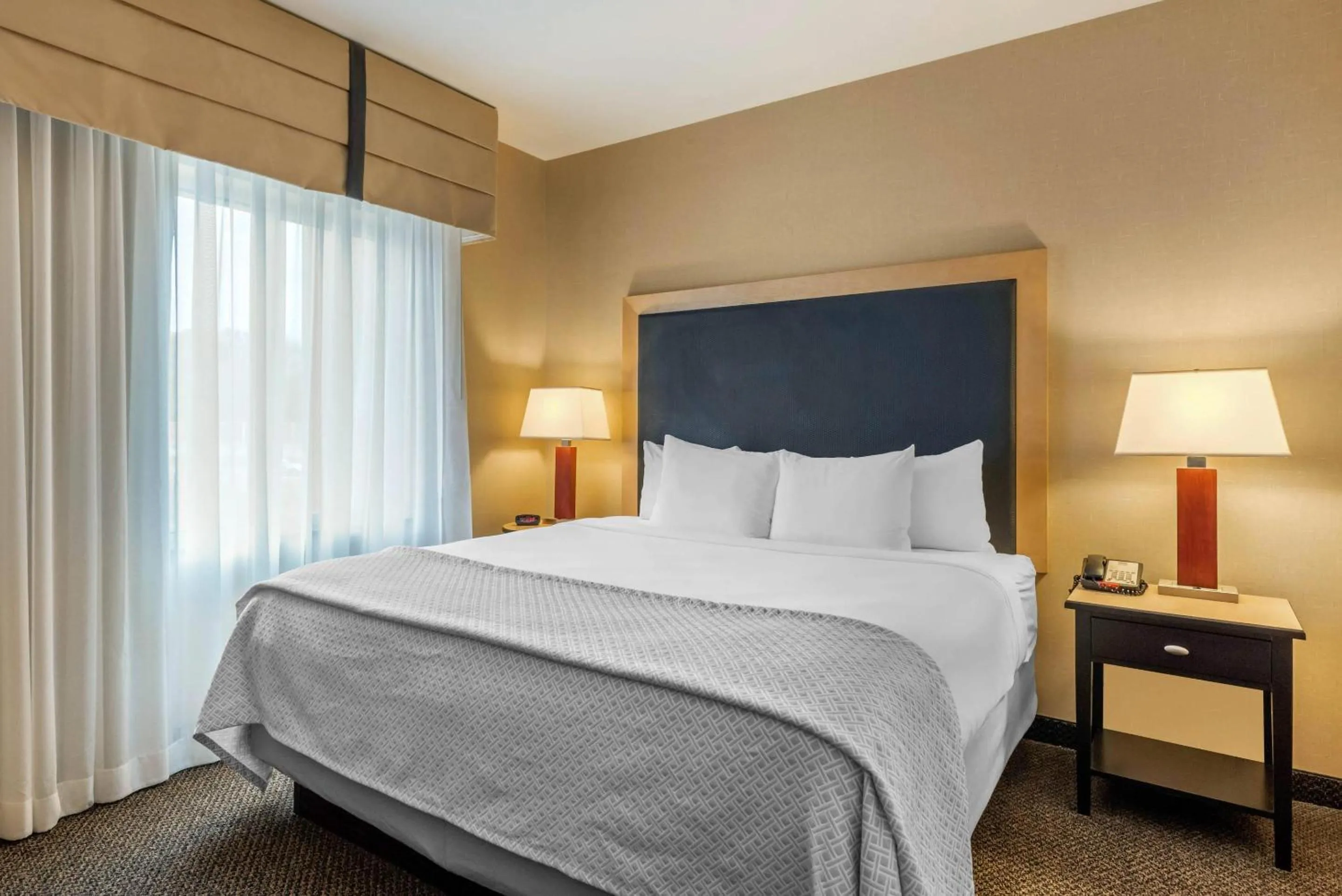 Bedroom, Bed in Cambria Hotel Akron - Canton Airport