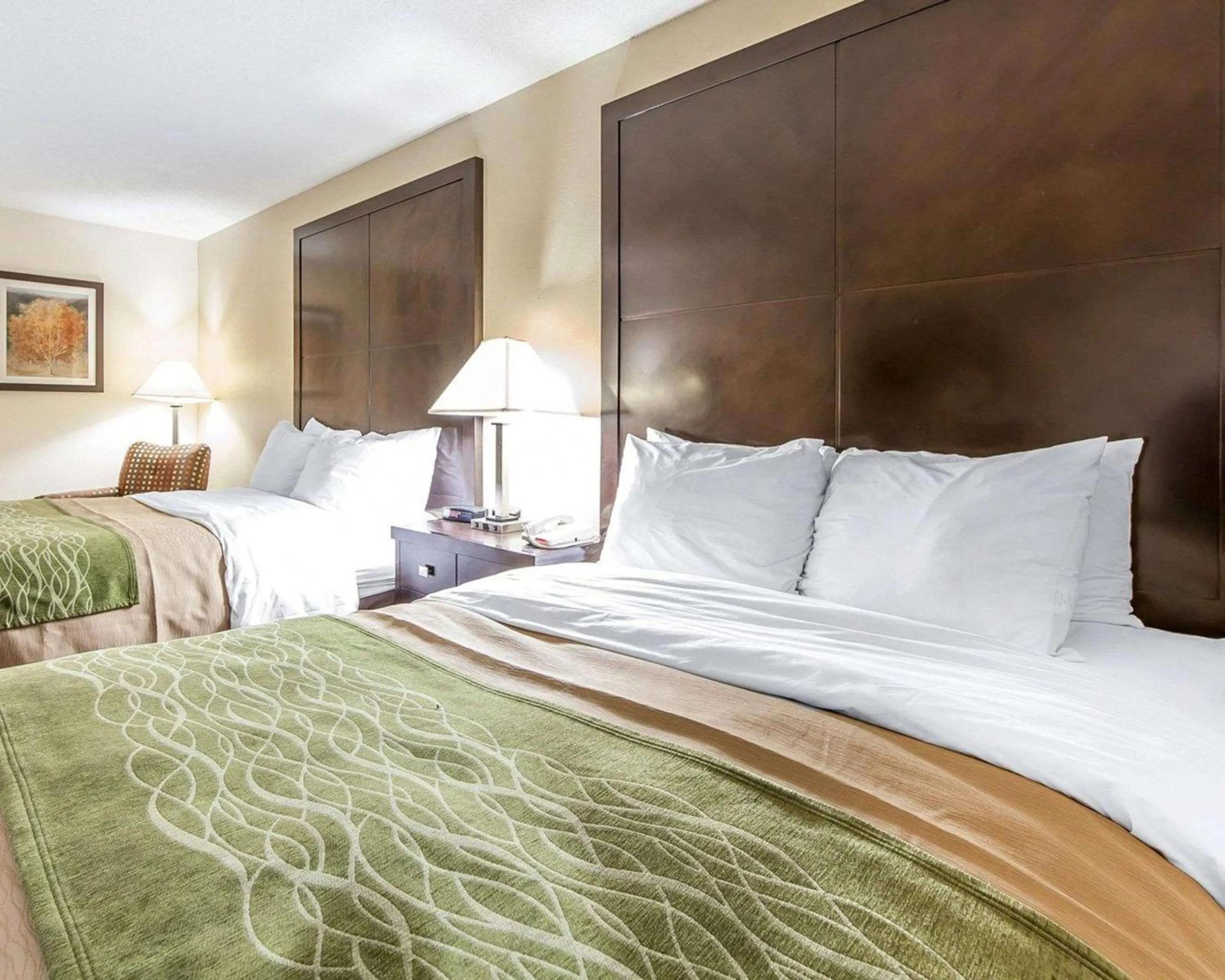 Bedroom, Bed in Quality Inn & Suites Portsmouth