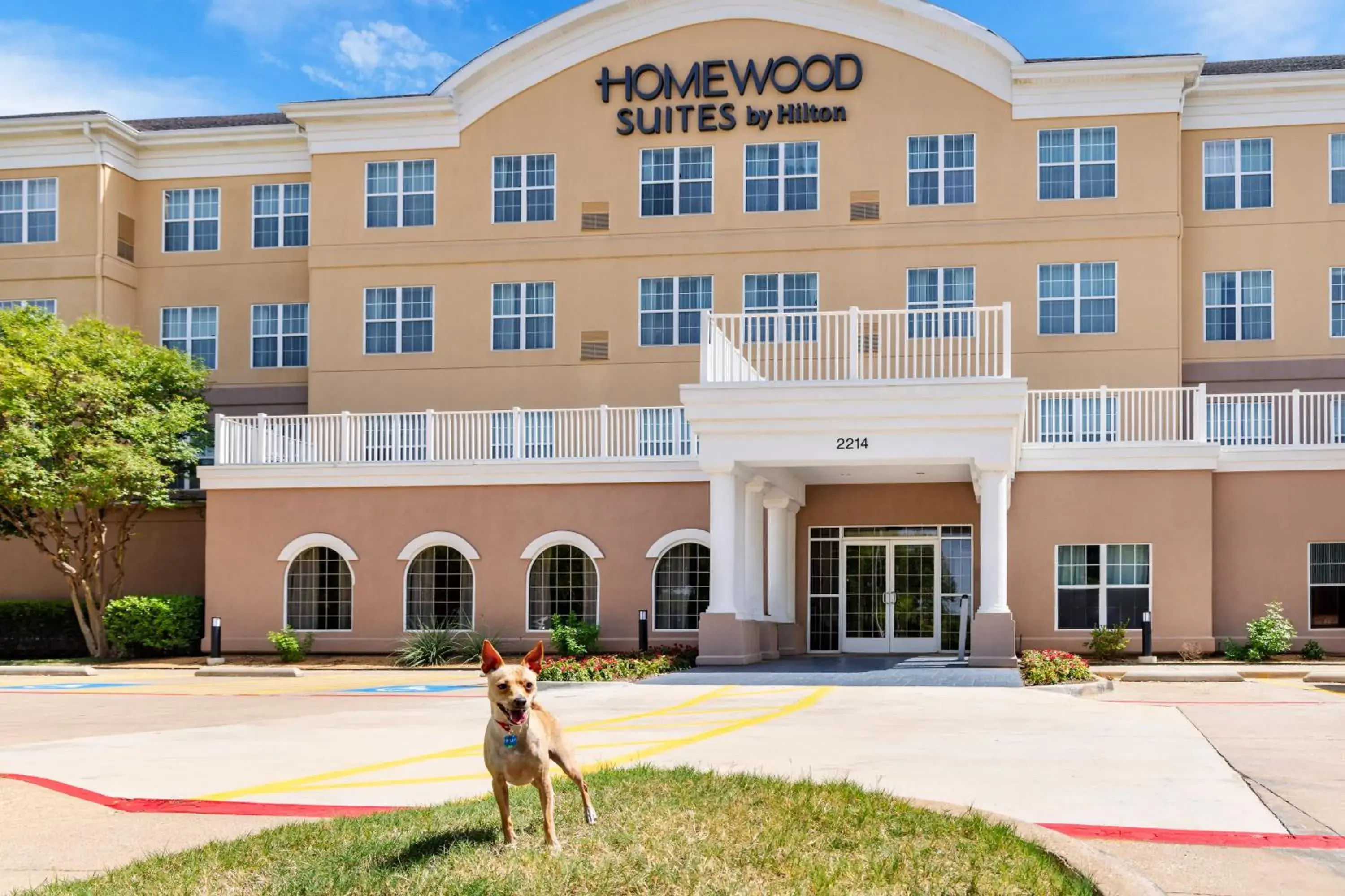 Property building in Homewood Suites by Hilton Dallas-DFW Airport N-Grapevine Property building in Homewood Suites by Hilton Dallas-DFW Airport N-Grapevine