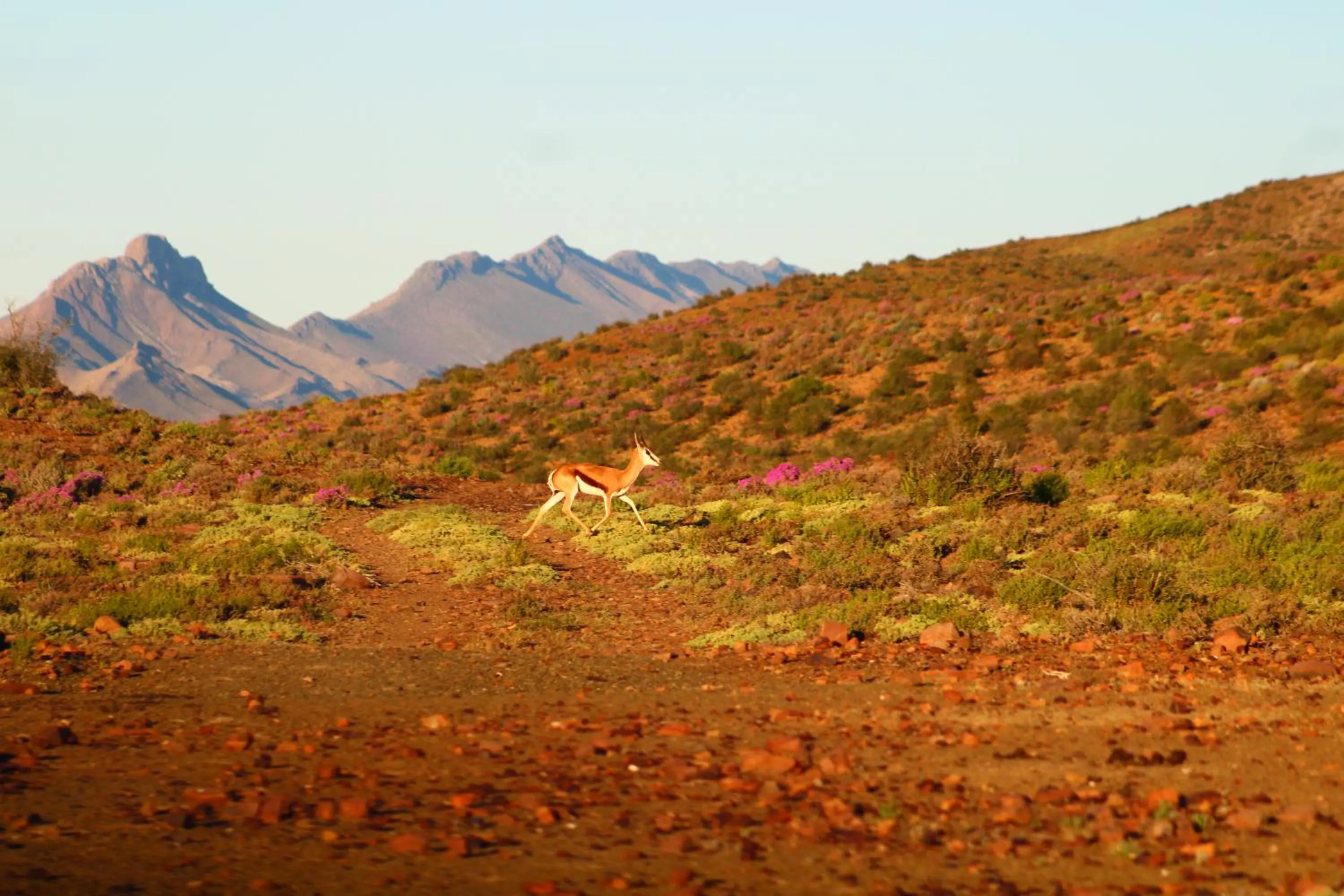 Bosch Luys Kloof Nature Reserve