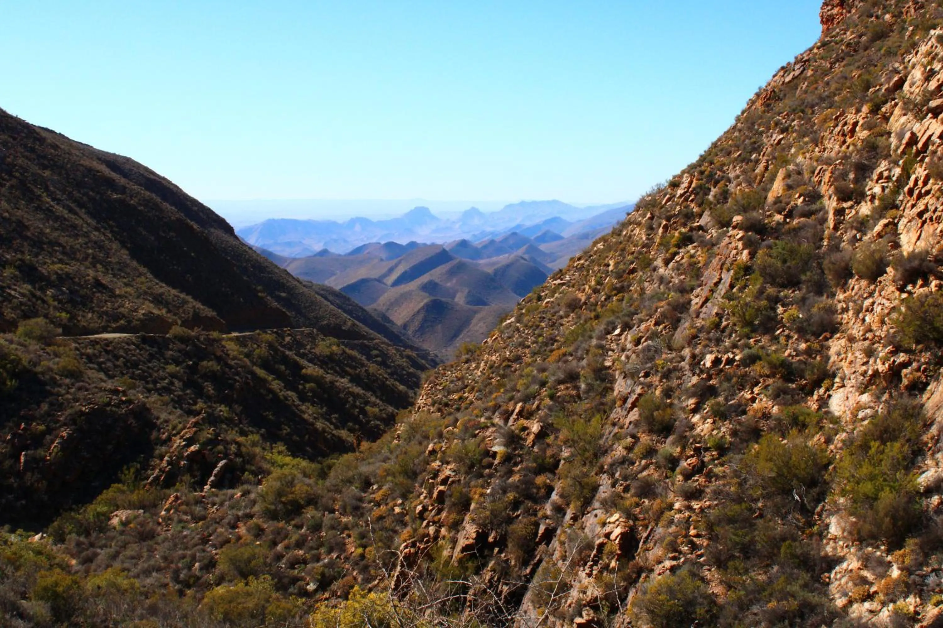 Bosch Luys Kloof Nature Reserve