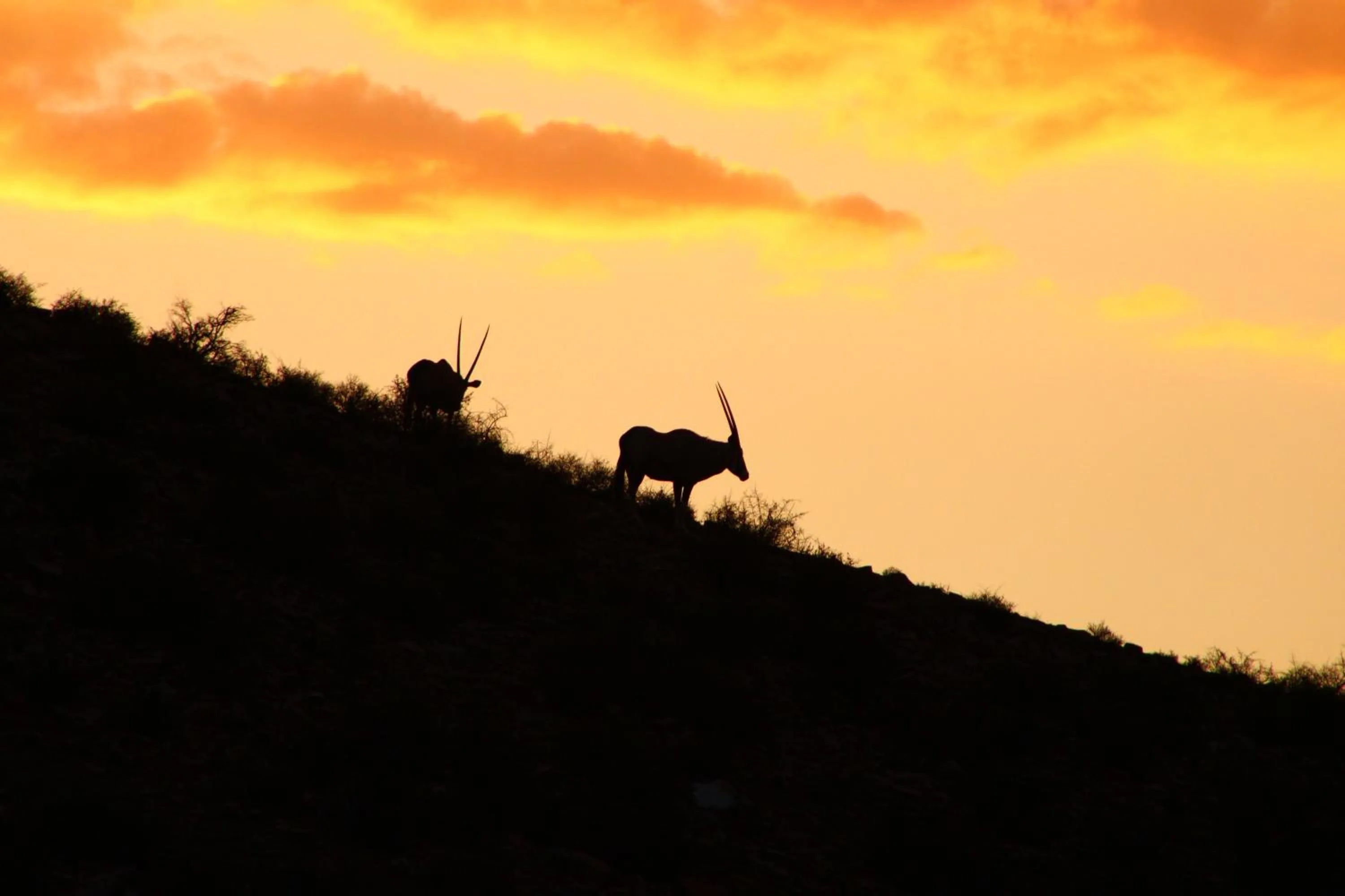 Bosch Luys Kloof Nature Reserve