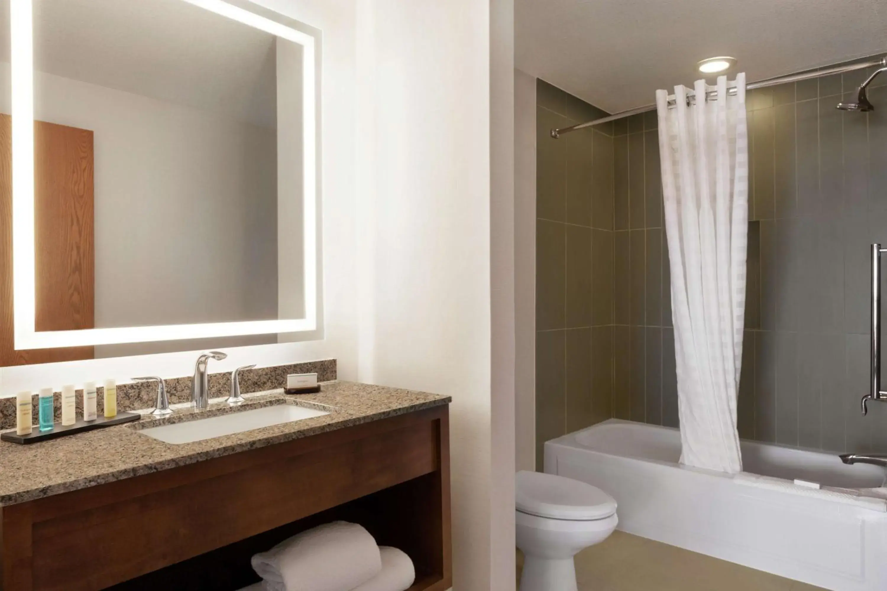 Bathroom in Embassy Suites Dallas - DFW Airport North Bathroom in Embassy Suites Dallas - DFW Airport North