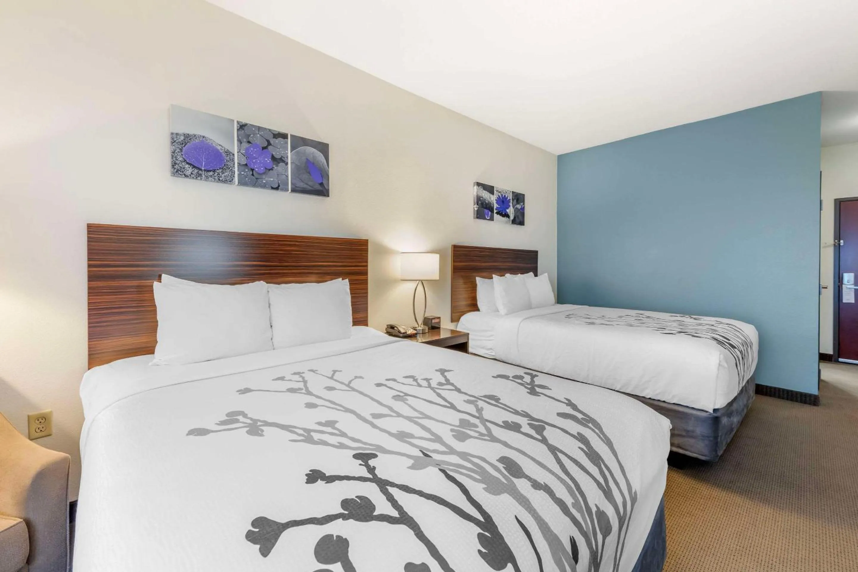 Bedroom, Bed in Sleep Inn & Suites Norman near University