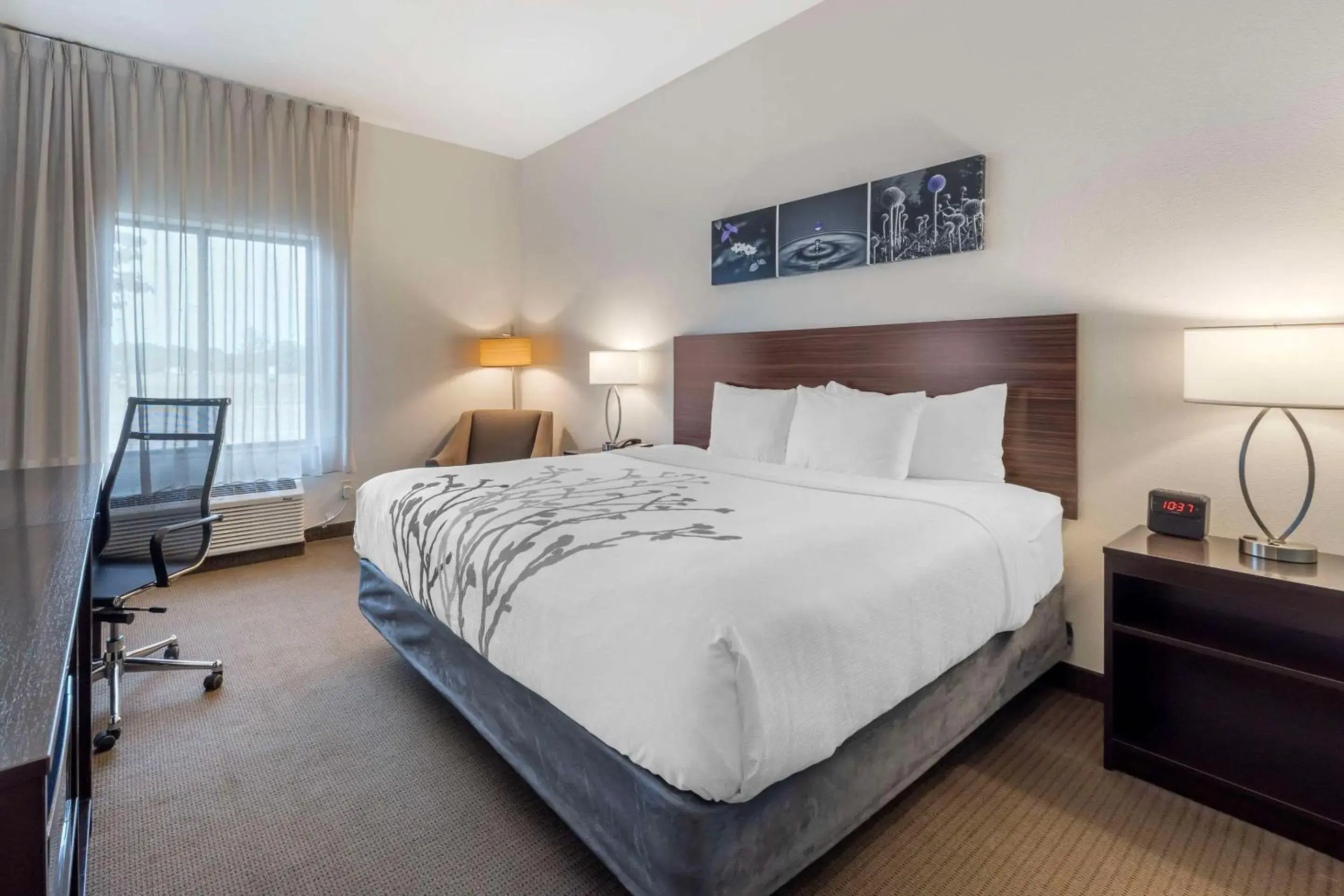 Bedroom, Bed in Sleep Inn & Suites Norman near University Bedroom, Bed in Sleep Inn & Suites Norman near University