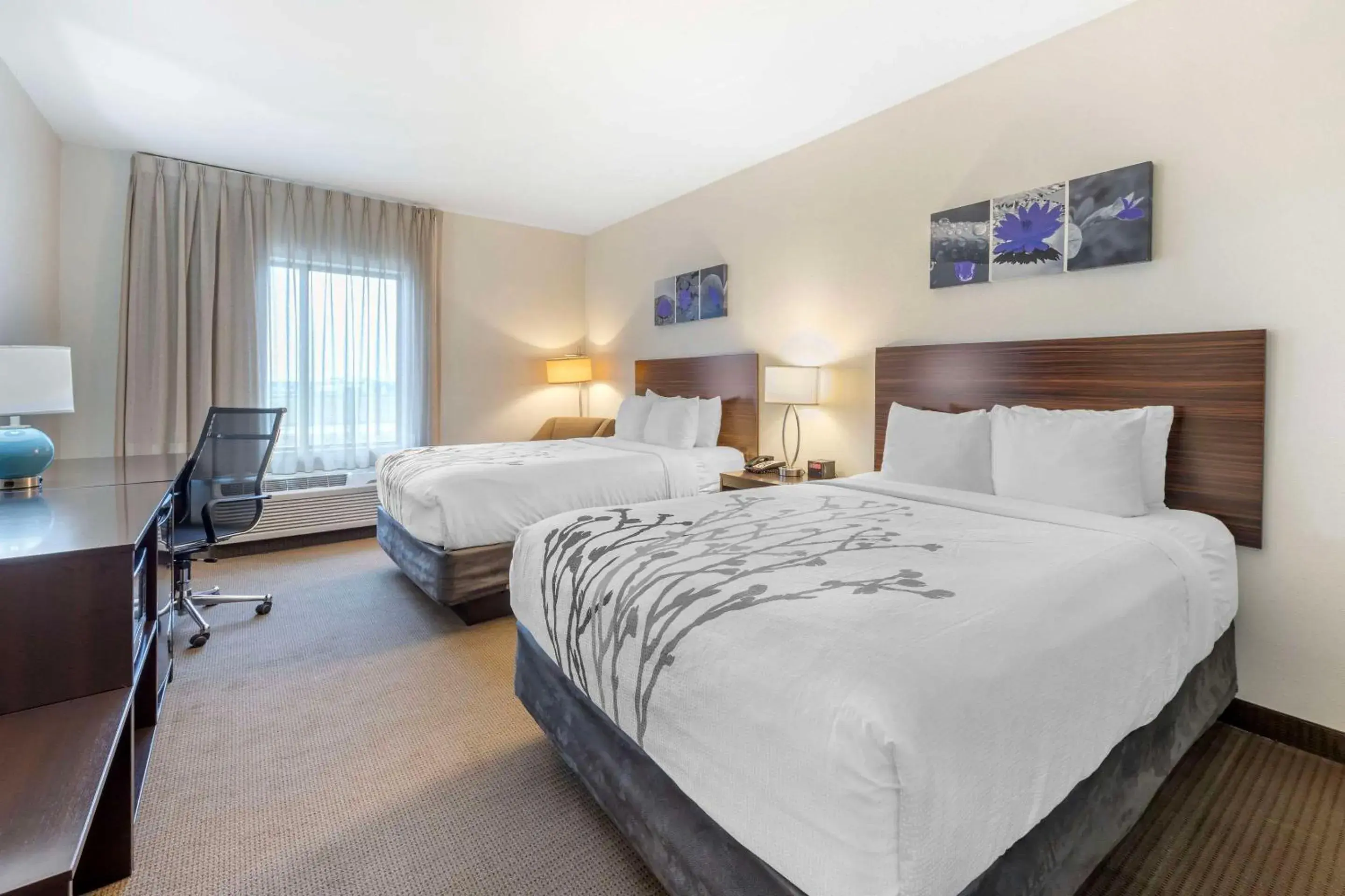 Bedroom, Bed in Sleep Inn & Suites Norman near University Bedroom, Bed in Sleep Inn & Suites Norman near University