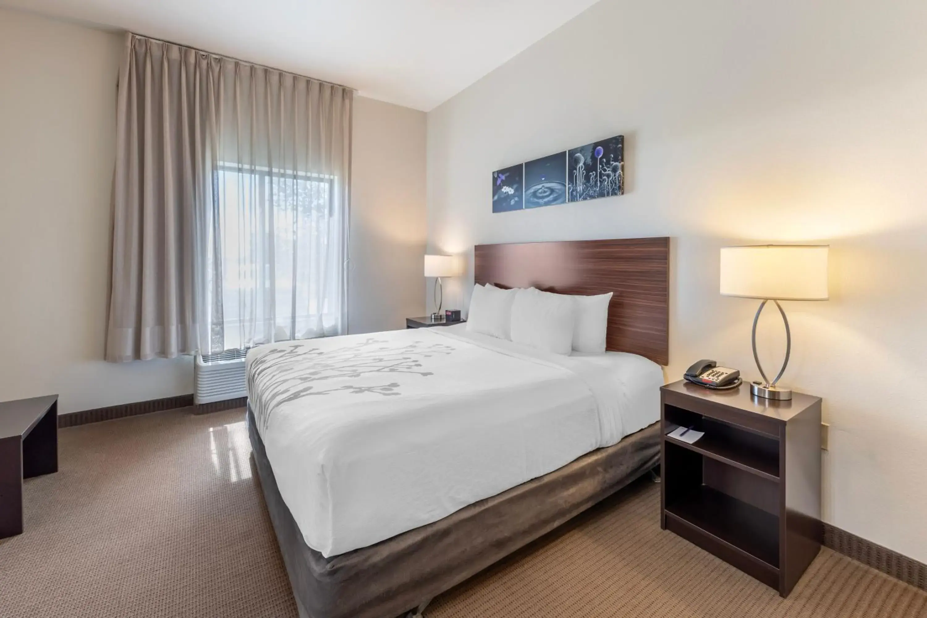 King Room with Roll-In Shower - Accessible/Non-Smoking in Sleep Inn & Suites Norman near University King Room with Roll-In Shower - Accessible/Non-Smoking in Sleep Inn & Suites Norman near University