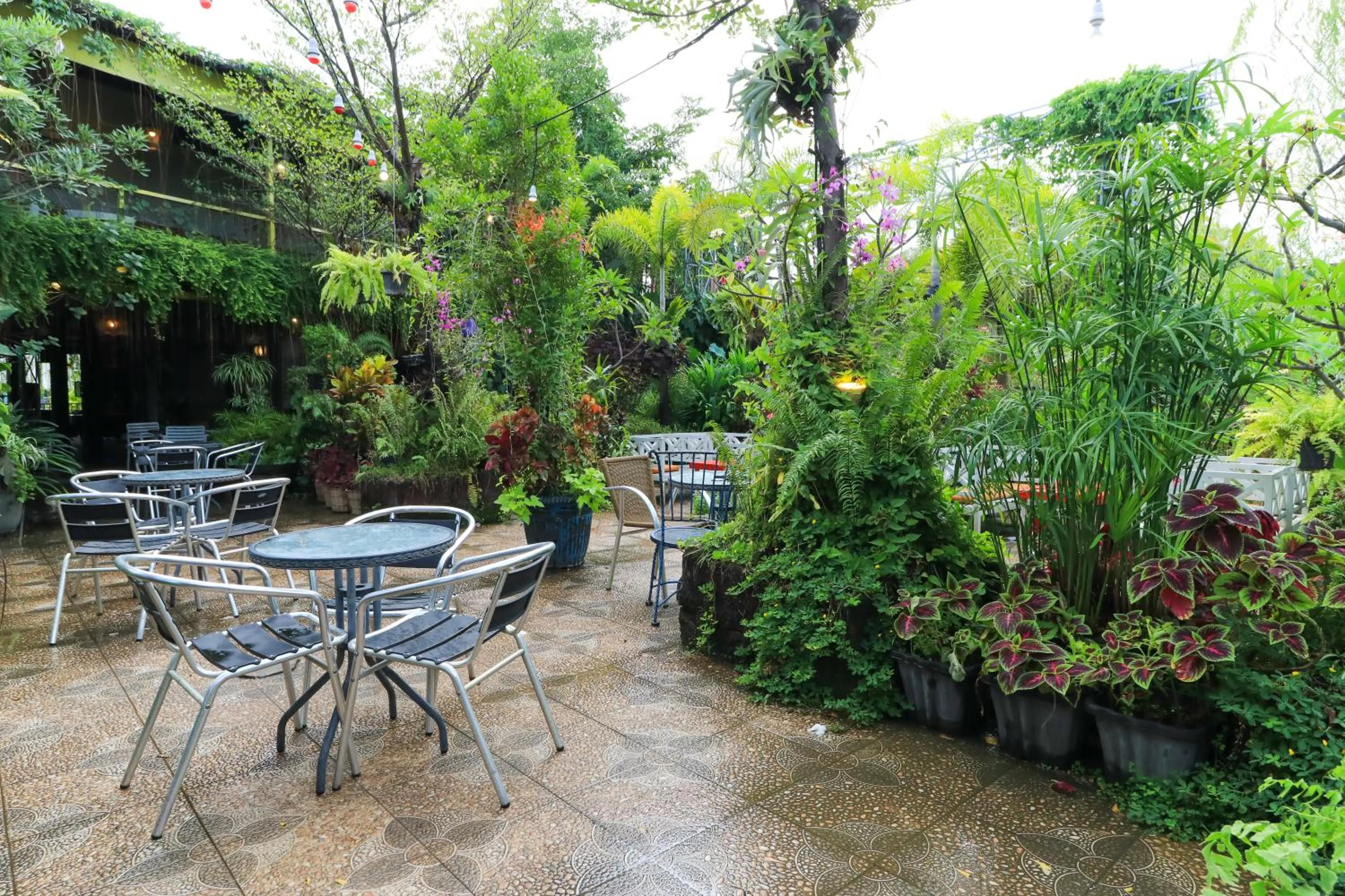 Garden in Labuana Homestay and Cafe Garden Makassar