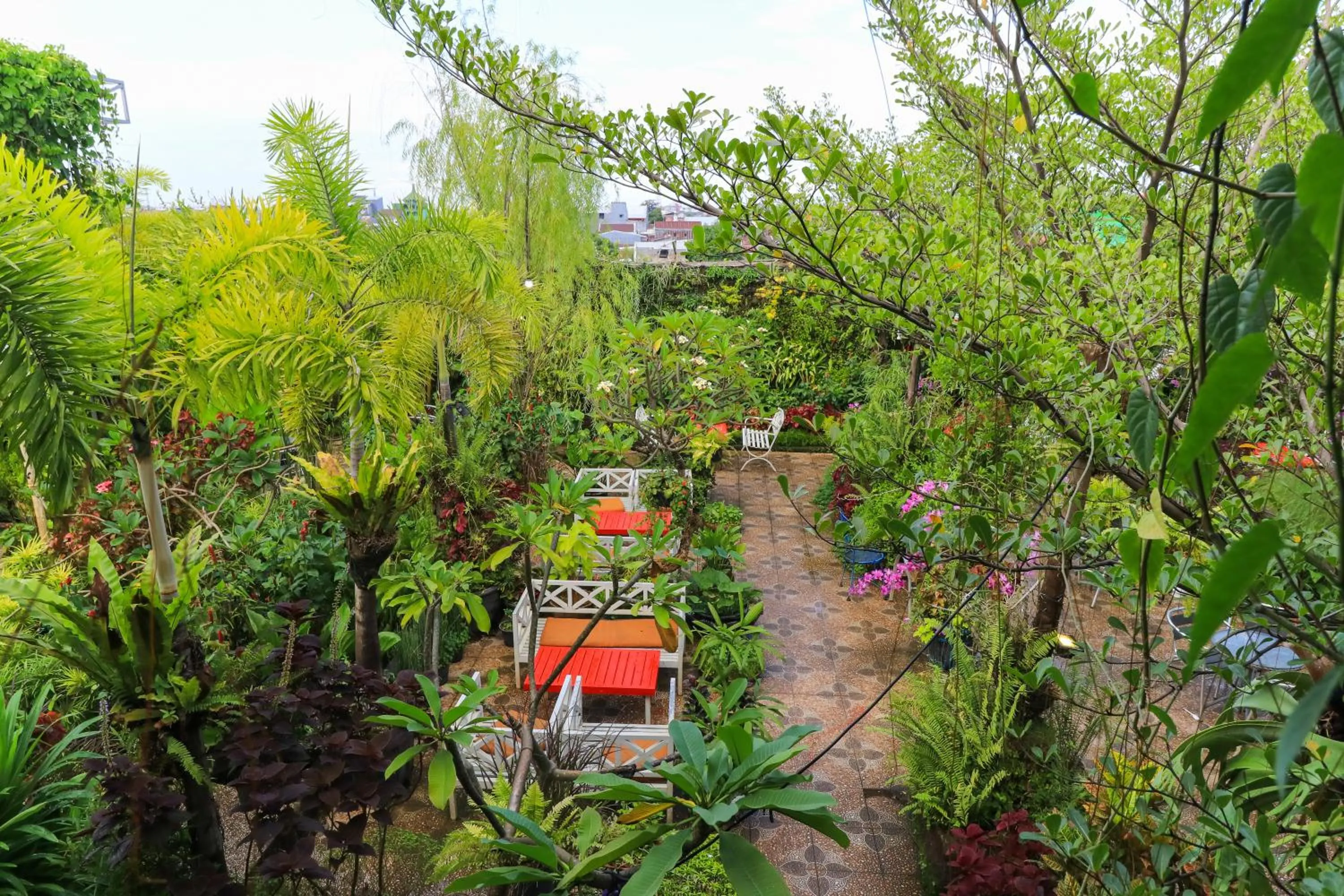 Garden view in Labuana Homestay and Cafe Garden Makassar