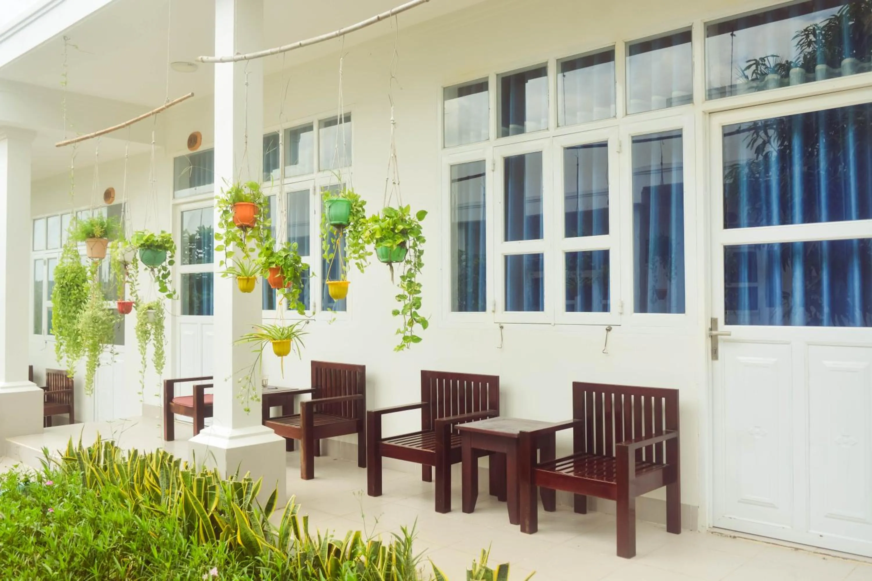 Đồi Dừa Homestay