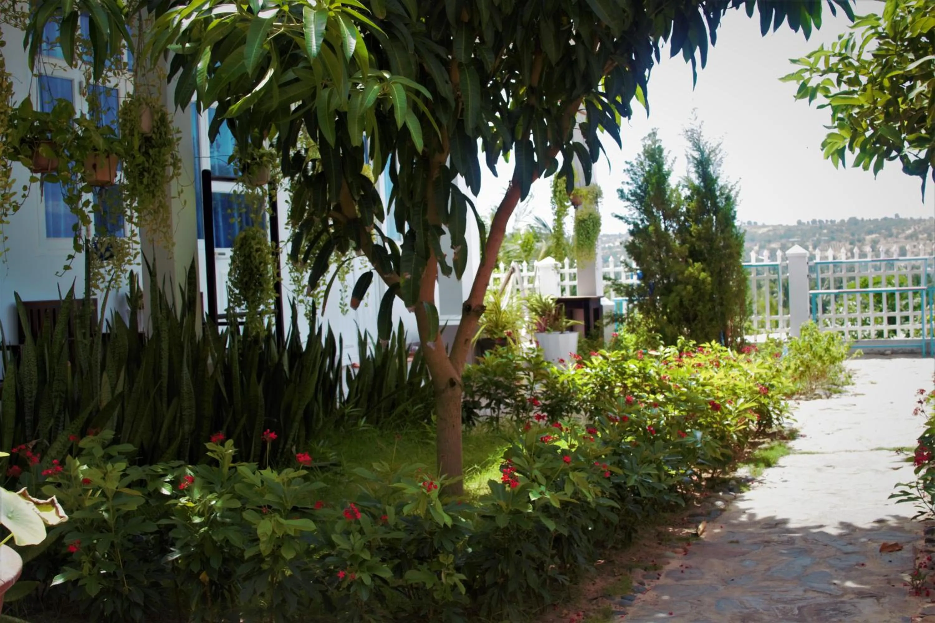 Đồi Dừa Homestay