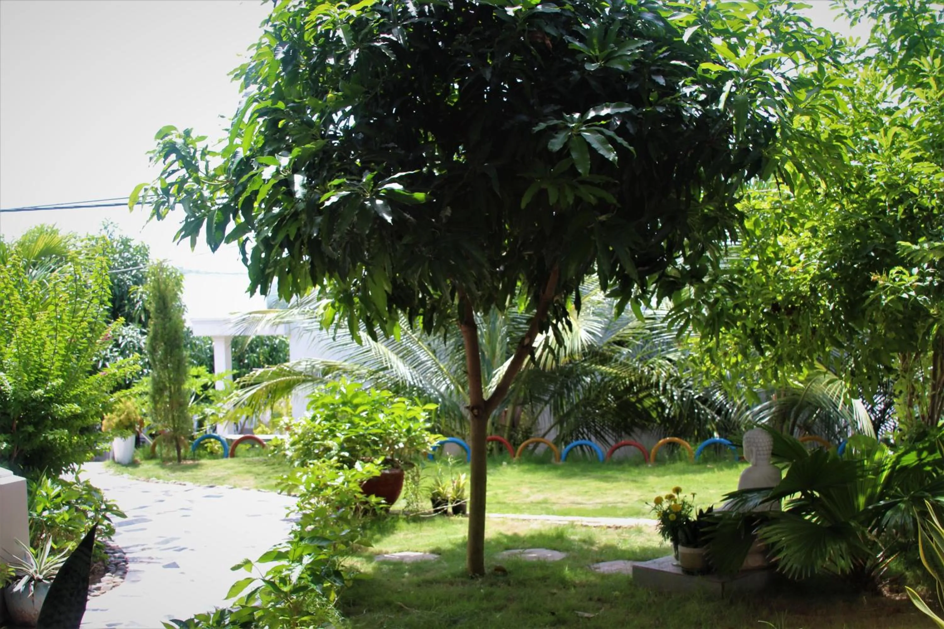 Đồi Dừa Homestay