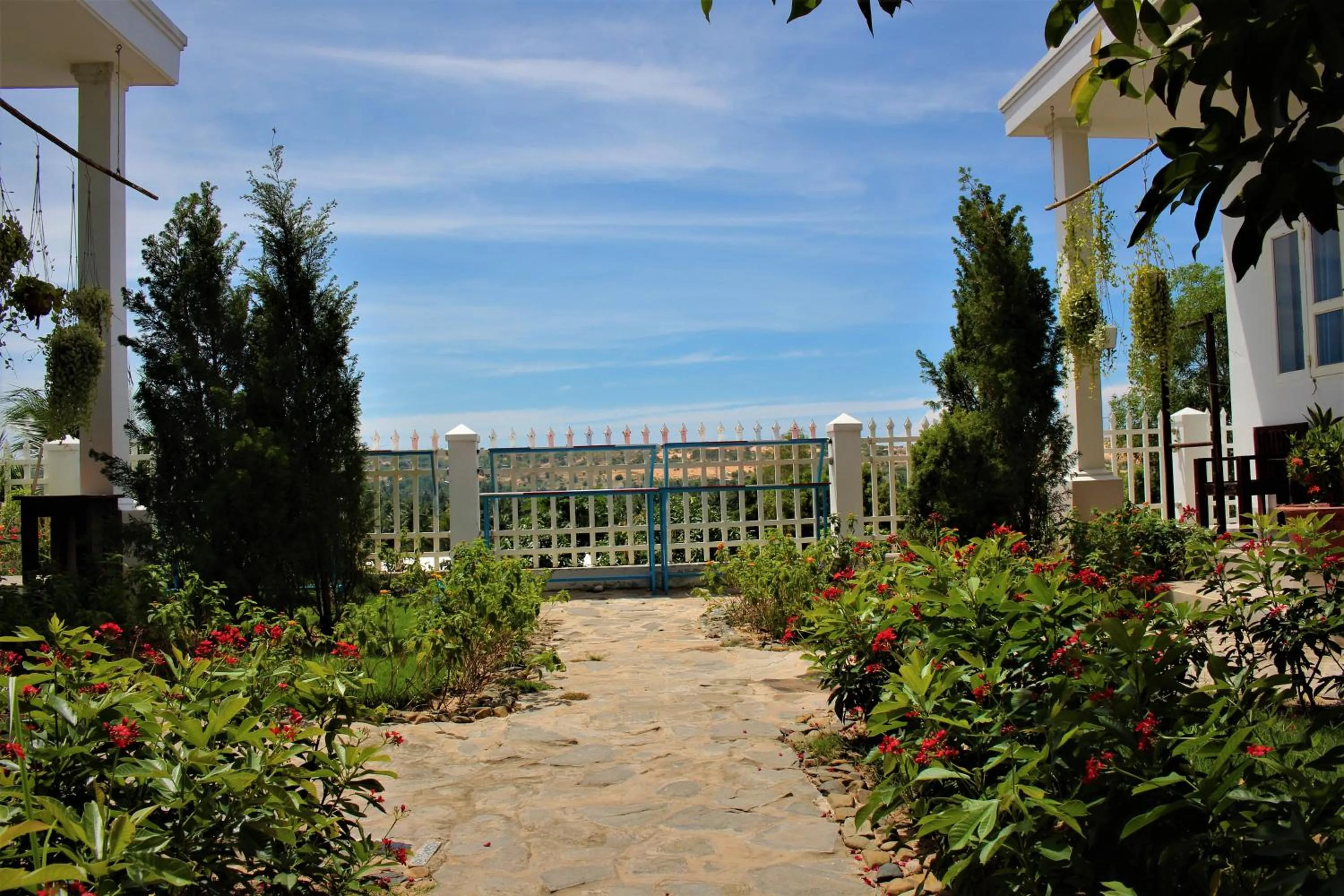 Đồi Dừa Homestay