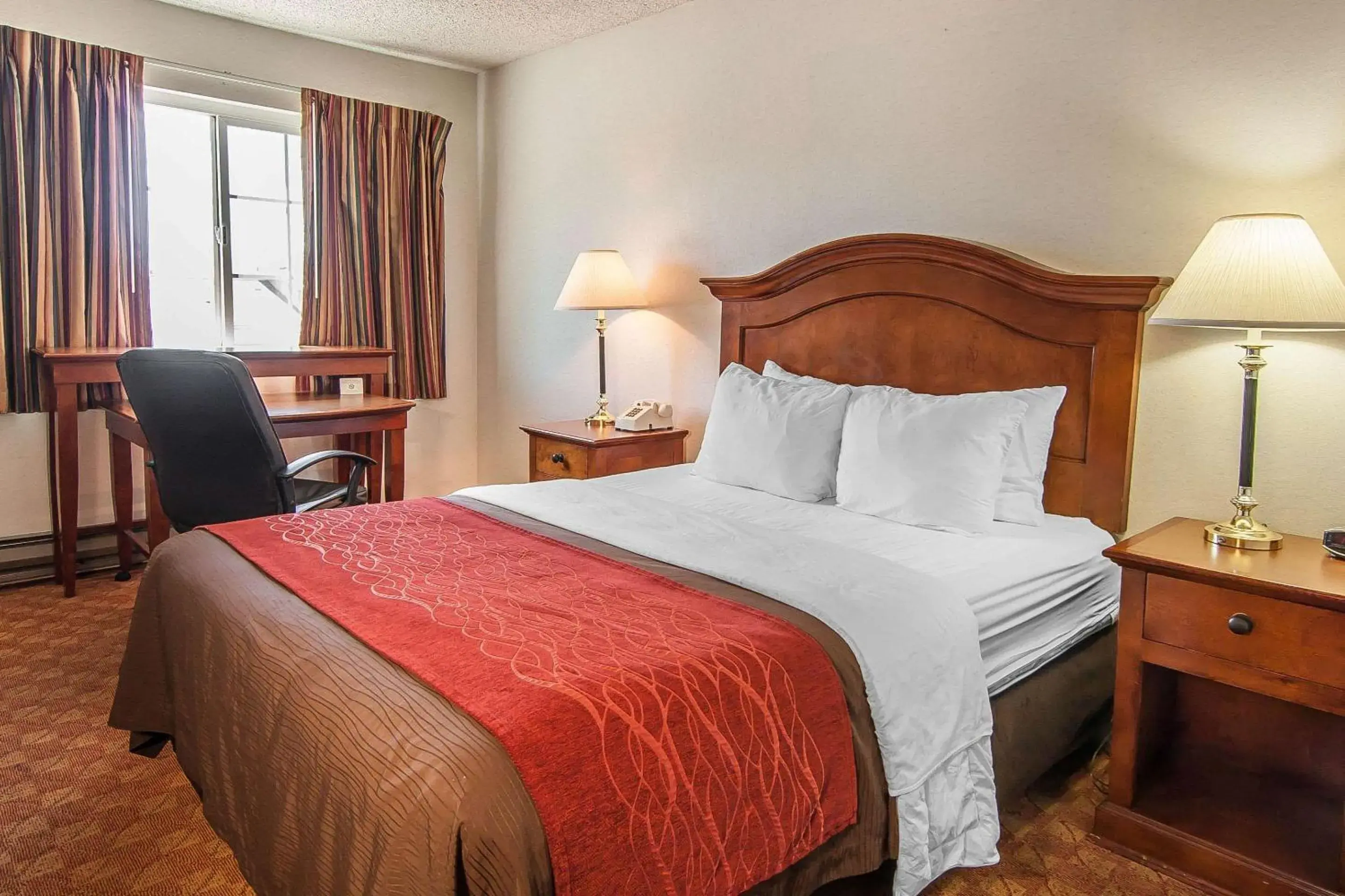 Photo of the whole room, Bed in Quality Inn Photo of the whole room, Bed in Quality Inn