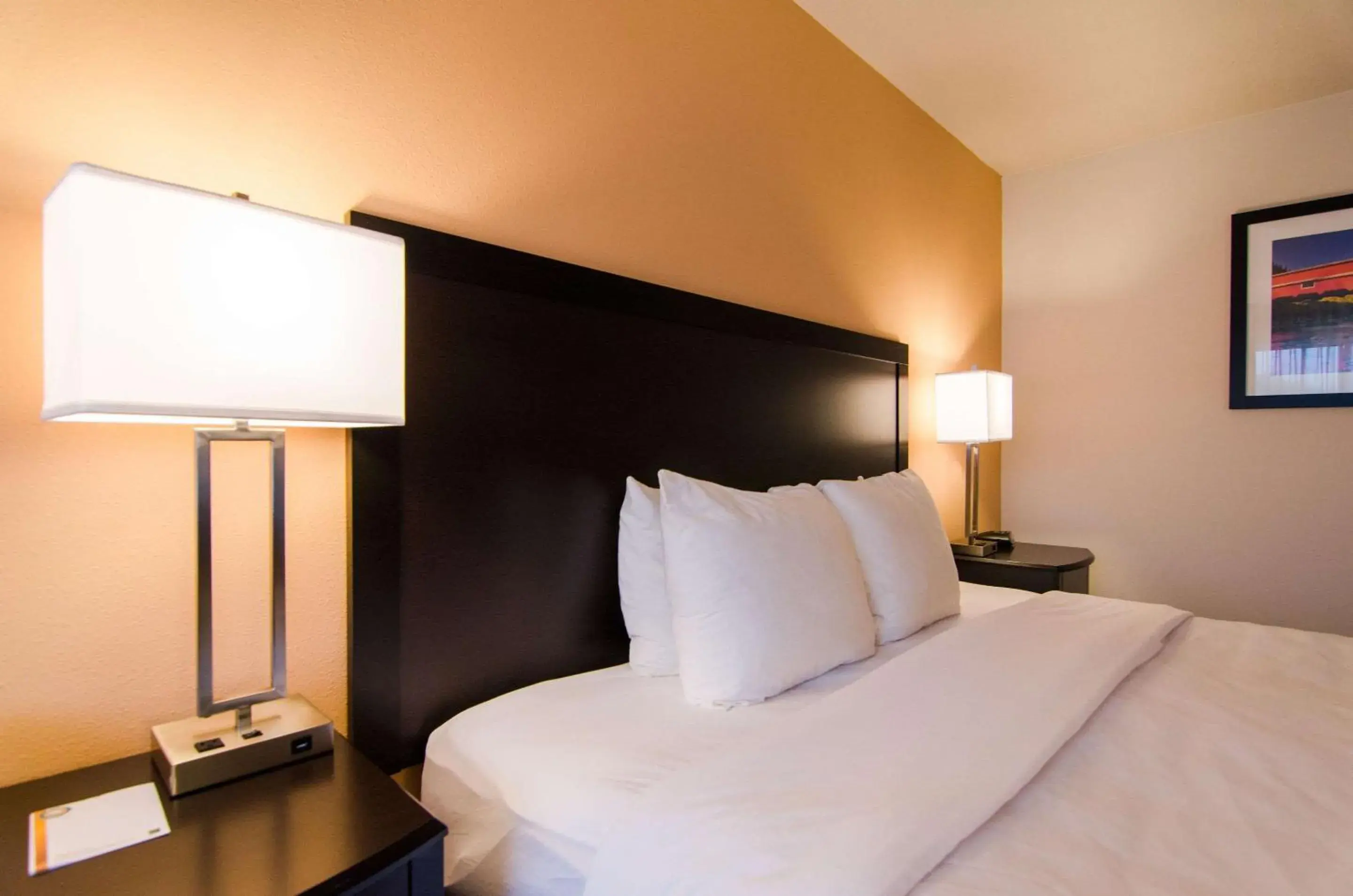 Photo of the whole room, Bed in Cottage Grove Inn Photo of the whole room, Bed in Cottage Grove Inn