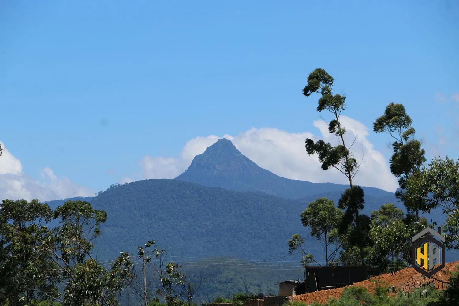 Natural landscape in Harrington Heritage