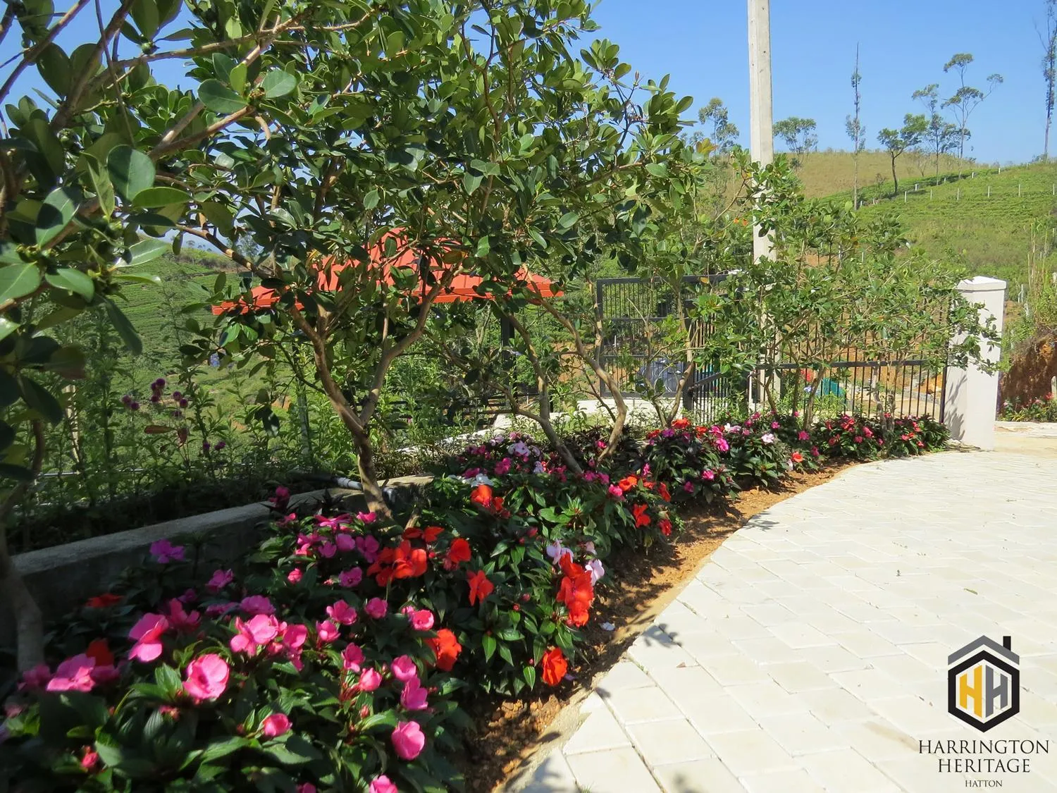 Garden in Harrington Heritage