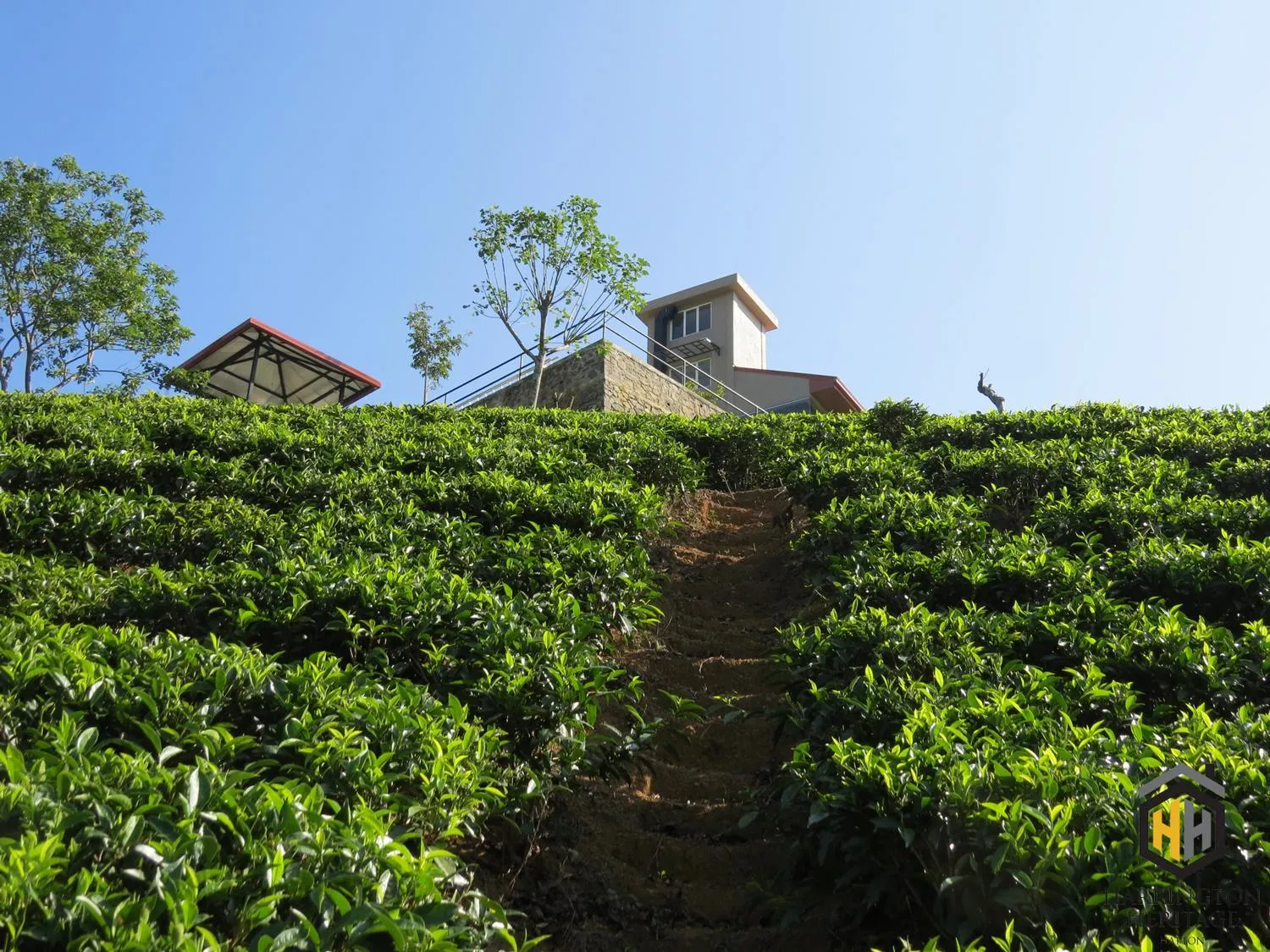 Property building in Harrington Heritage