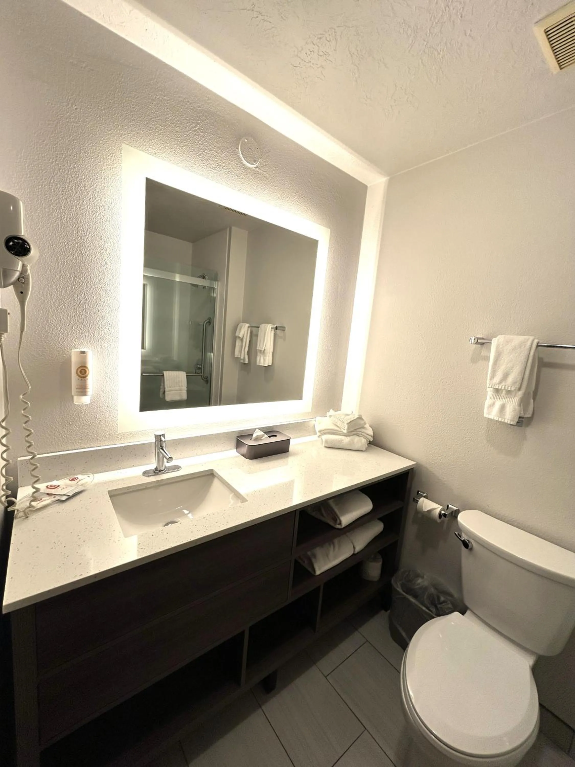 Bathroom in Comfort Suites Salem