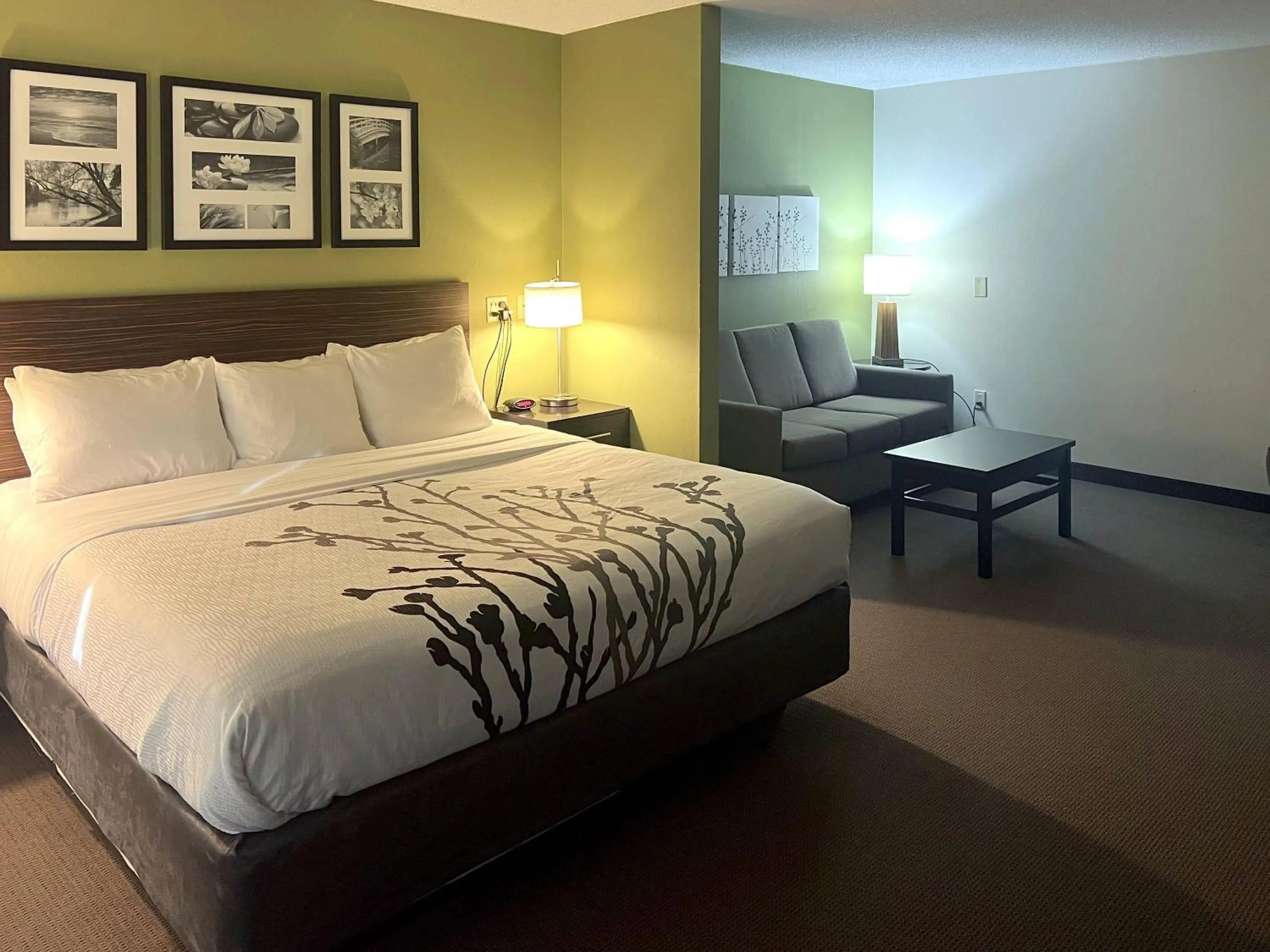 Bedroom in Sleep Inn & Suites Roseburg North Near Medical Center