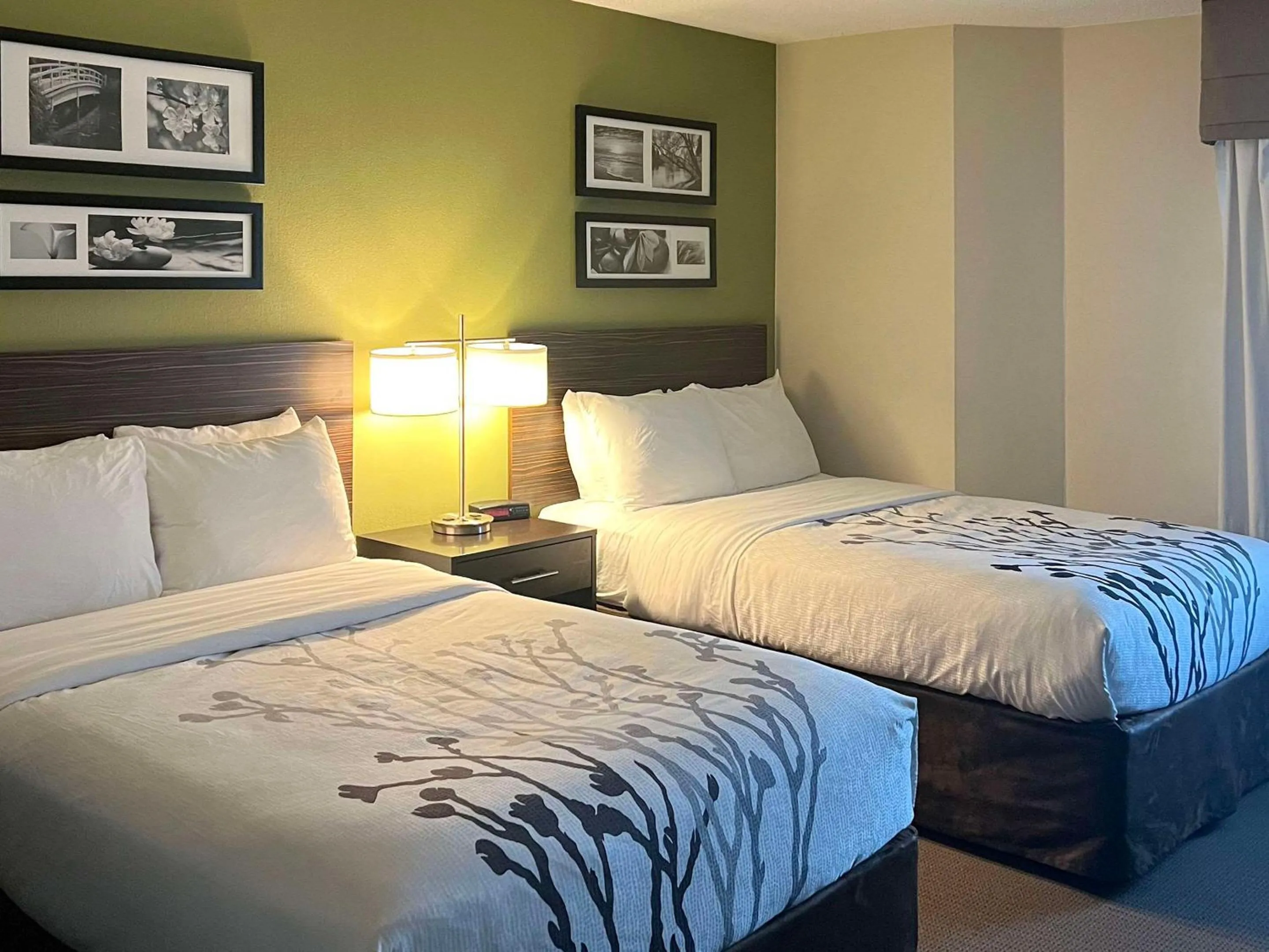 Double Room with Two Double Beds and Bath Tub - Non-Smoking/Disability Access in Sleep Inn & Suites Roseburg North Near Medical Center
