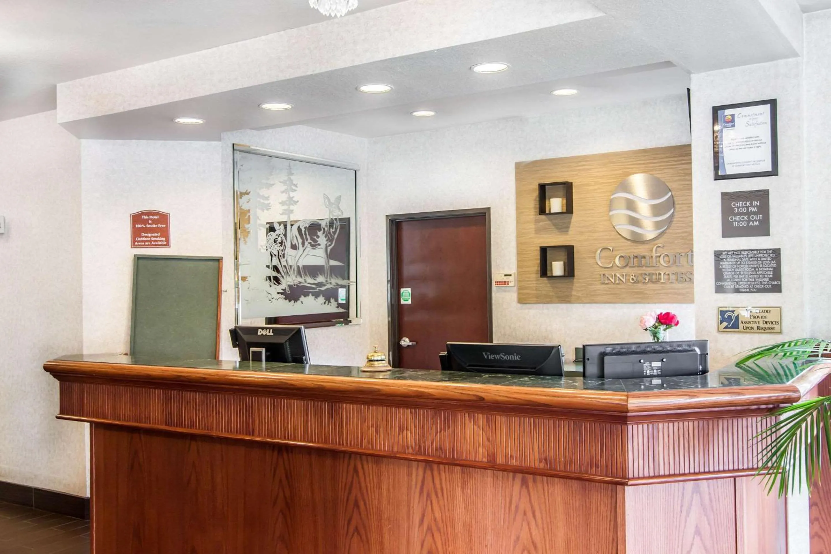 Lobby or reception in Comfort Inn & Suites Salem Northeast