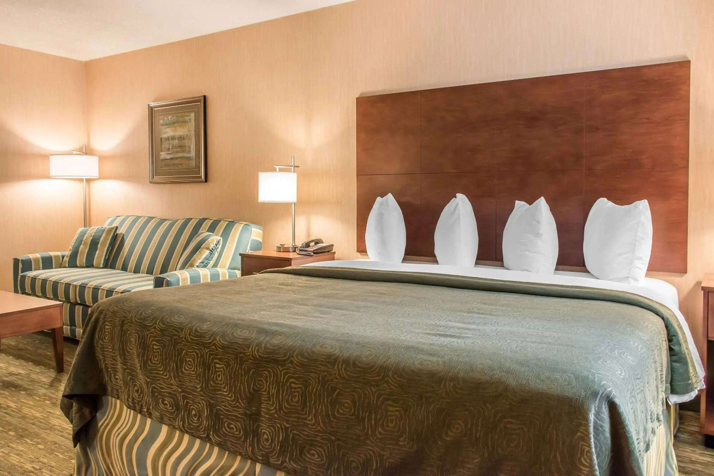 Bedroom, Bed in Quality Inn Bedroom, Bed in Quality Inn