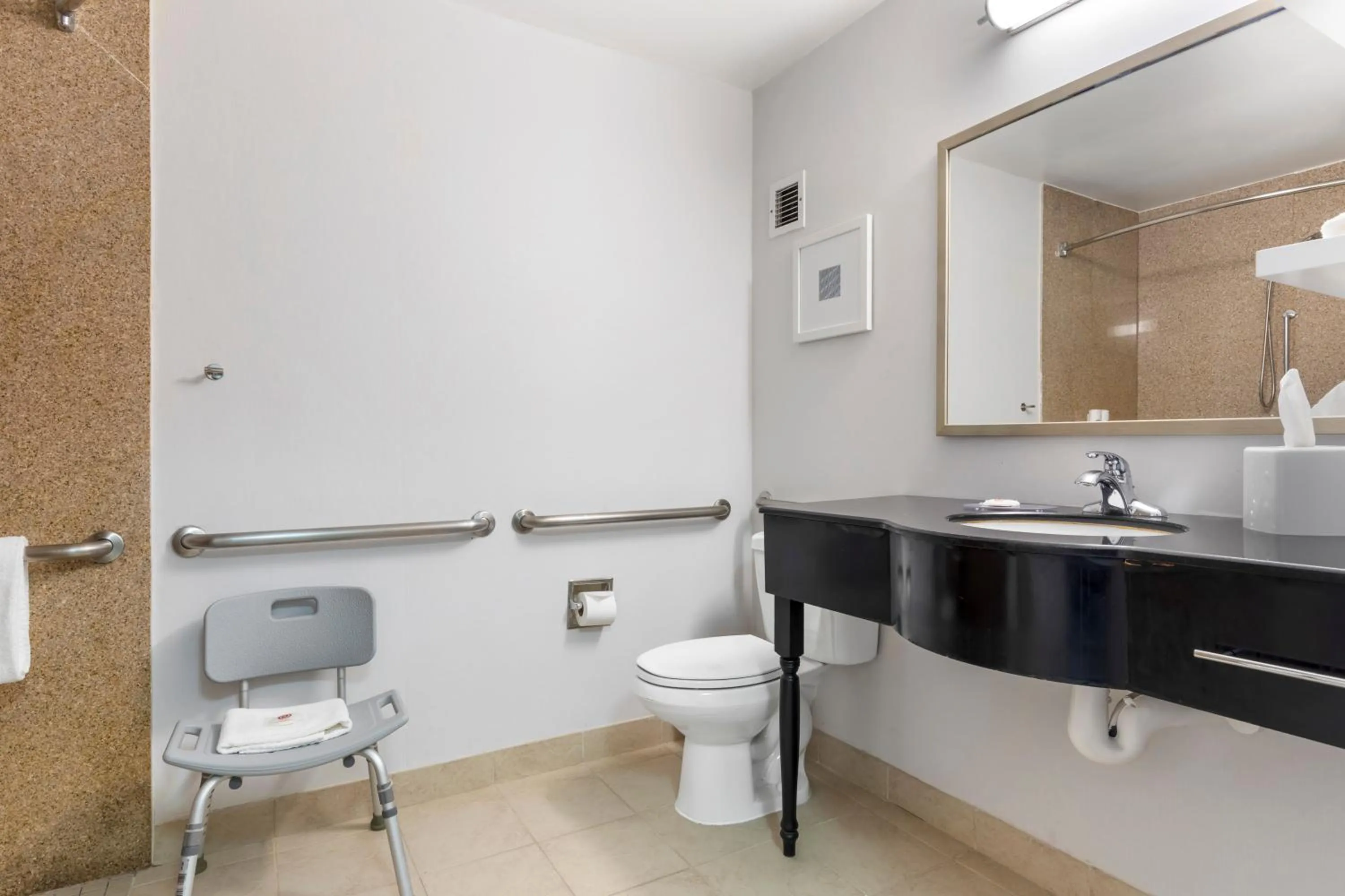 Shower in Comfort Inn Plano-Dallas